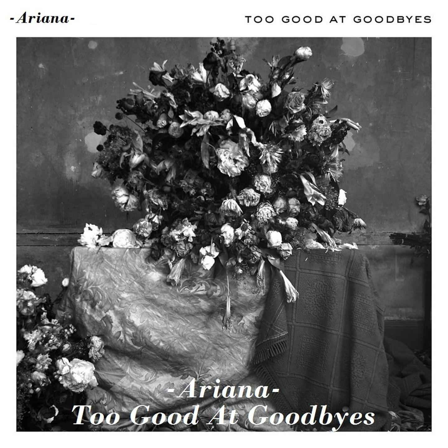 Постер альбома Too Good at Goodbyes