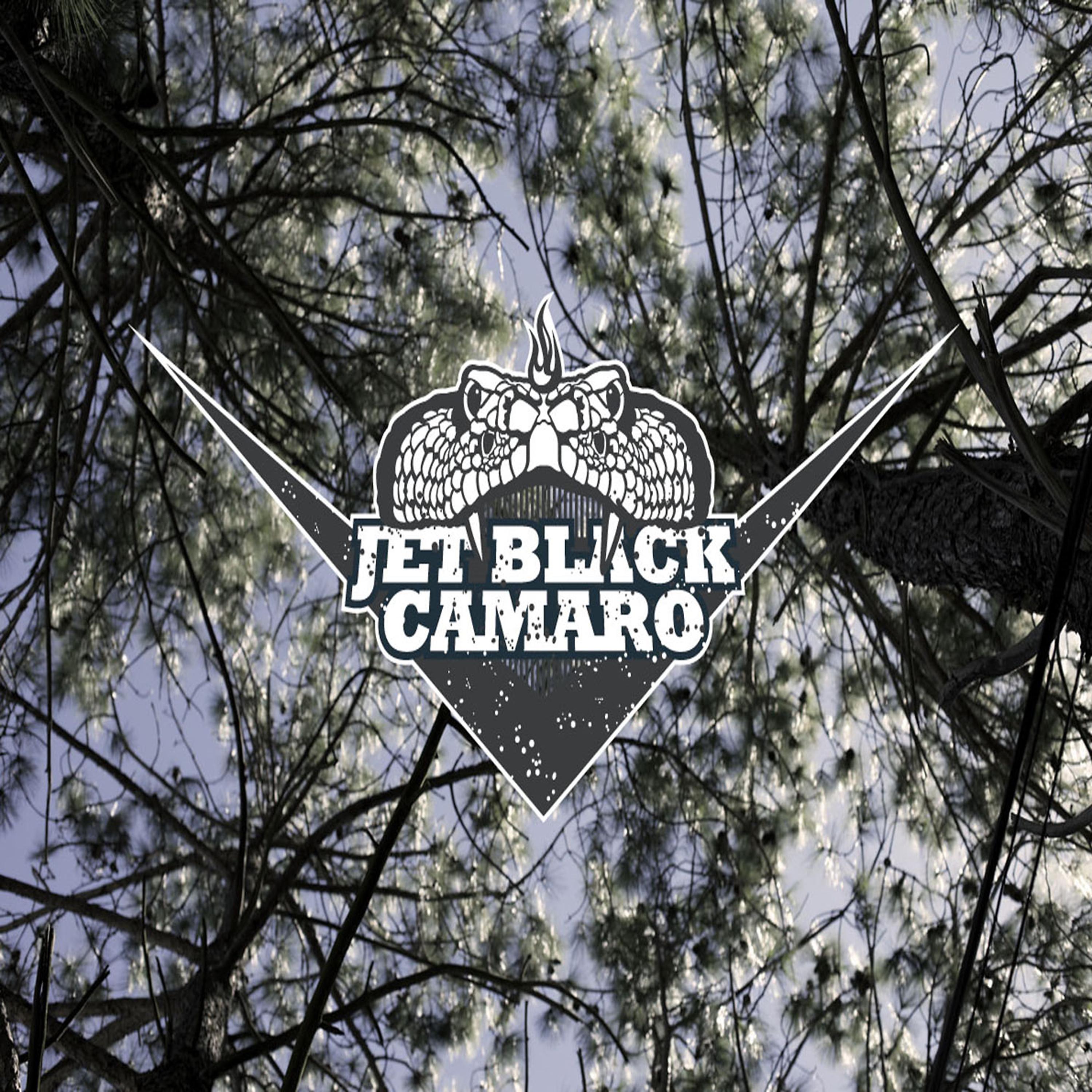 Постер альбома Jet Back Camaro