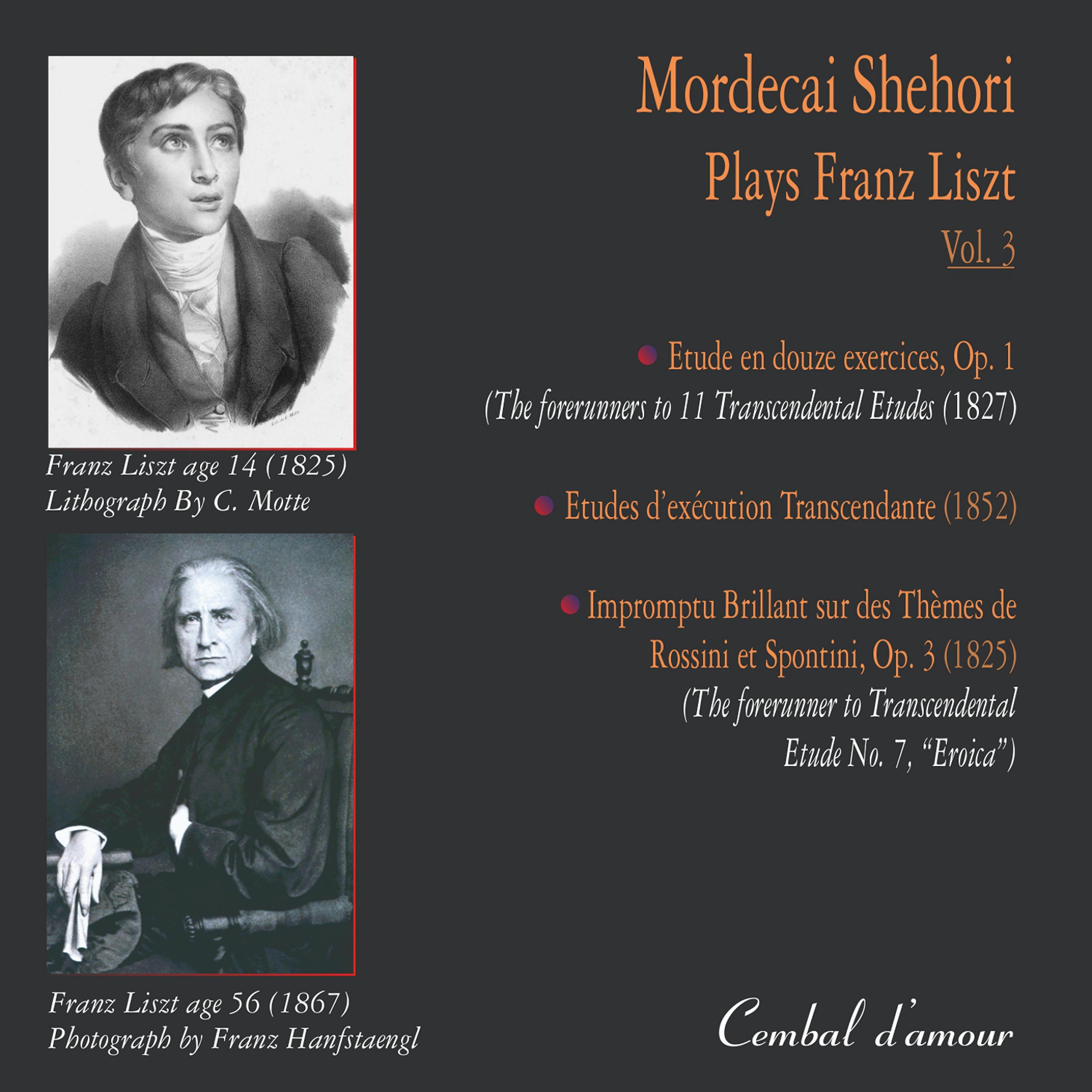 Постер альбома Liszt's Transcendental Etudes Versions 1827 & 1852