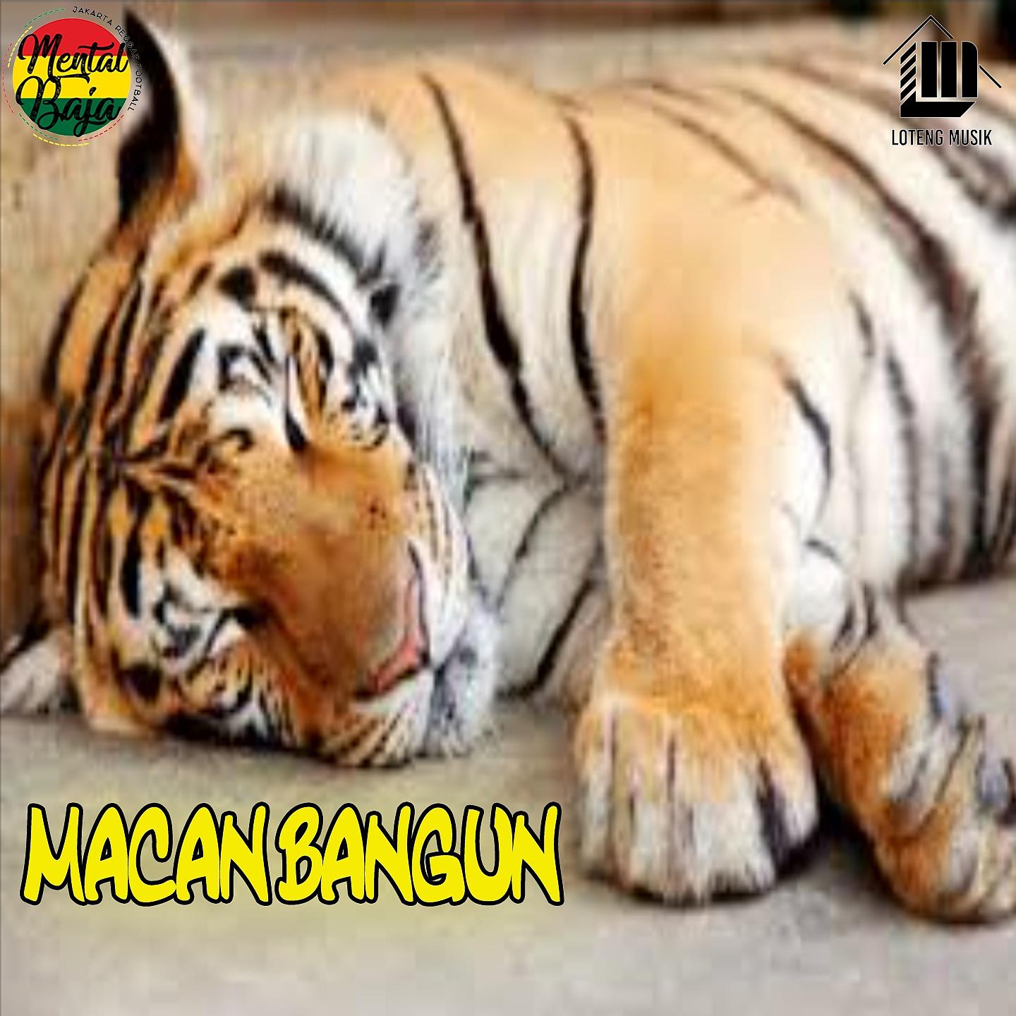Постер альбома Macan Bangun