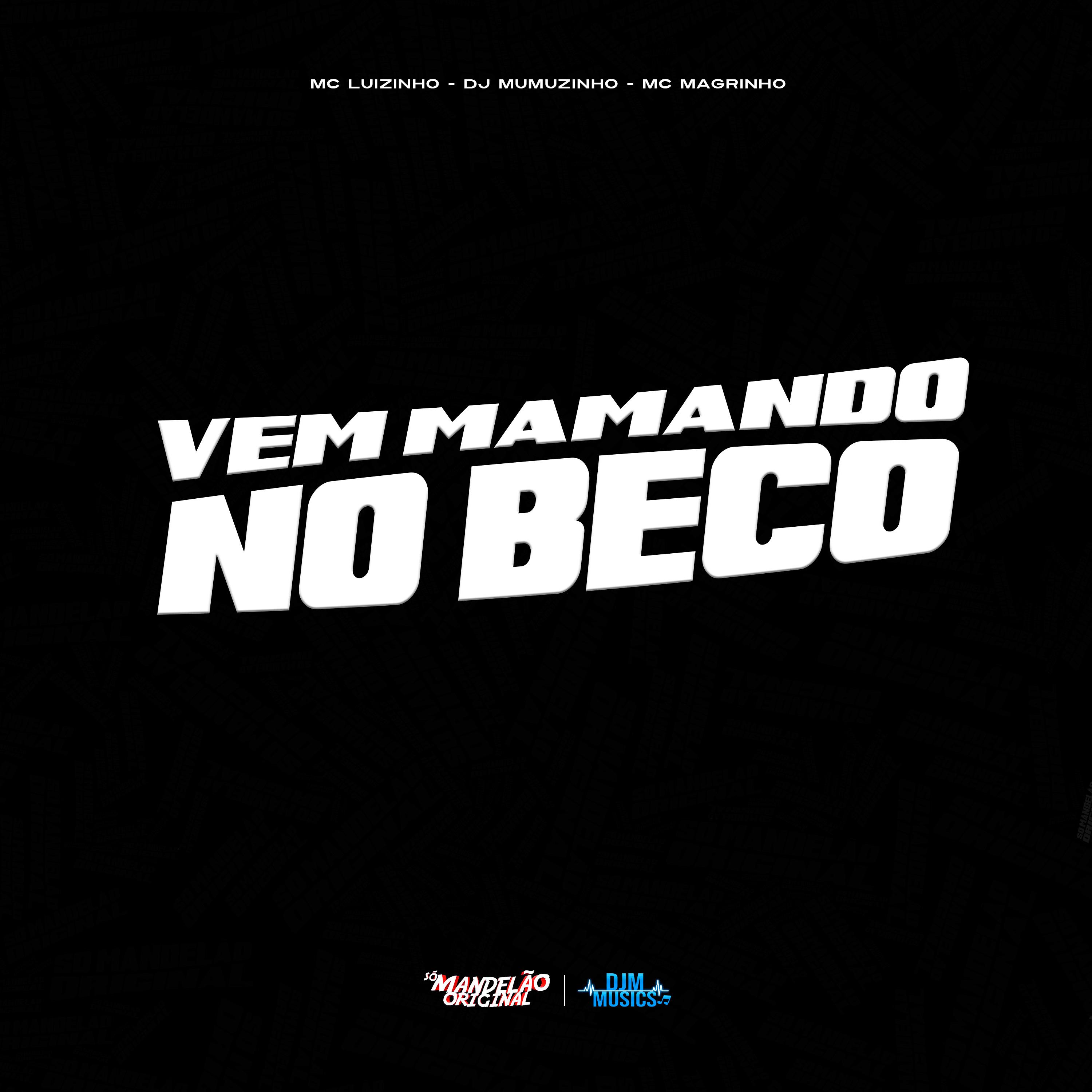 Постер альбома Vem Mamando no Beco