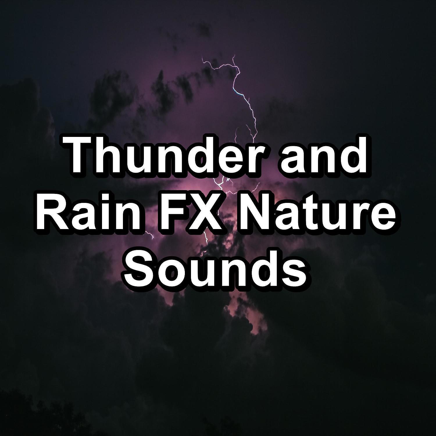 Постер альбома Thunder and Rain FX Nature Sounds