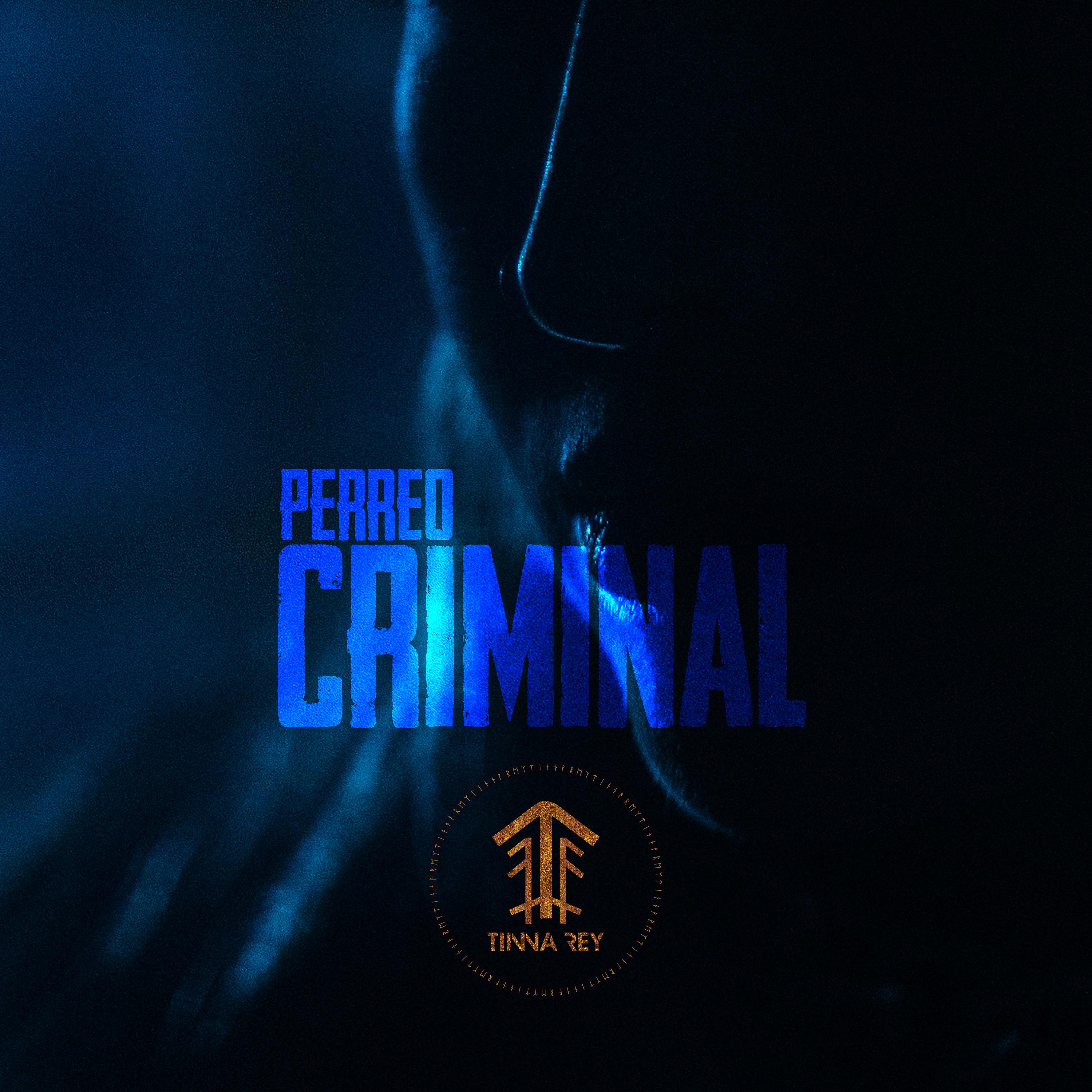 Постер альбома Perreo Criminal