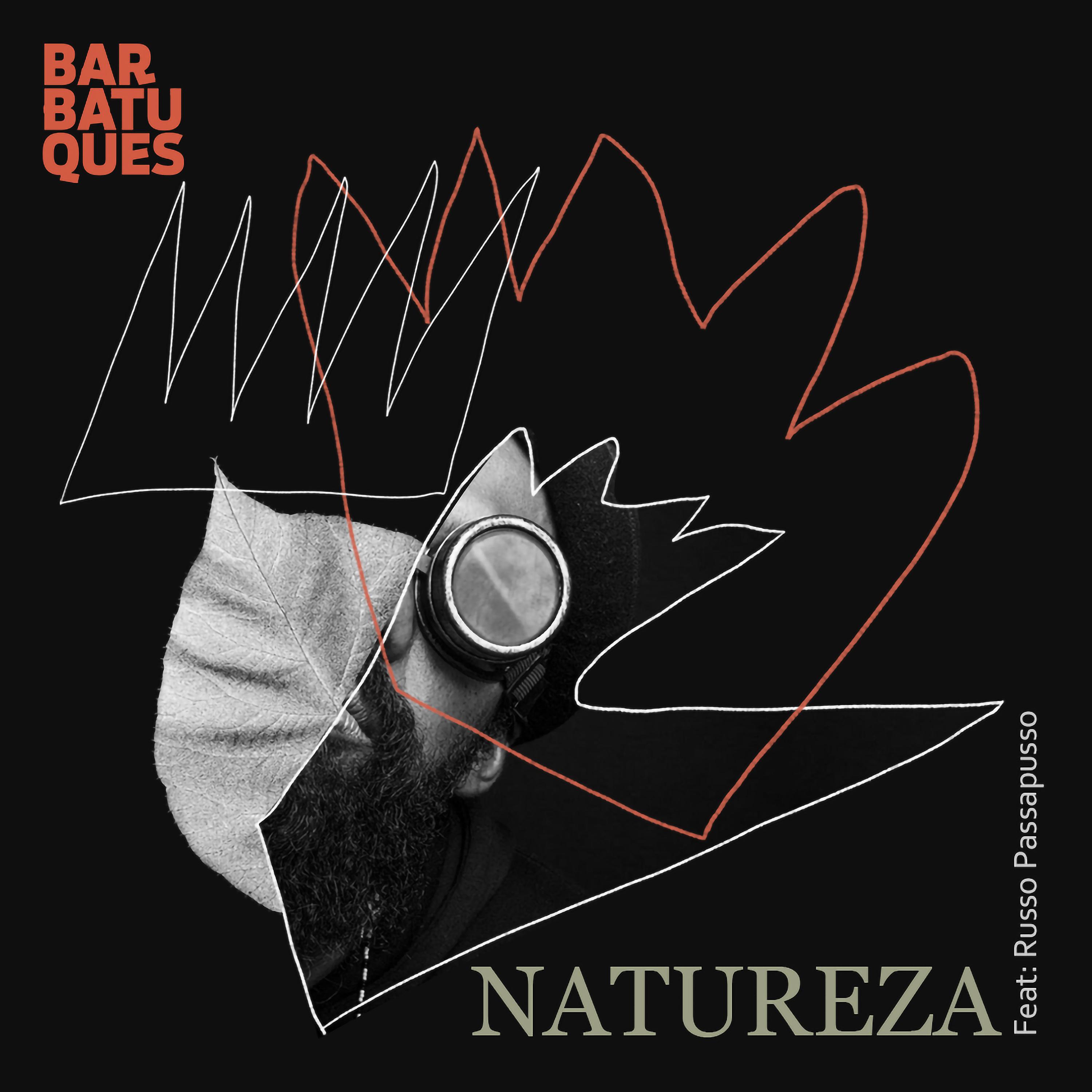 Постер альбома Natureza