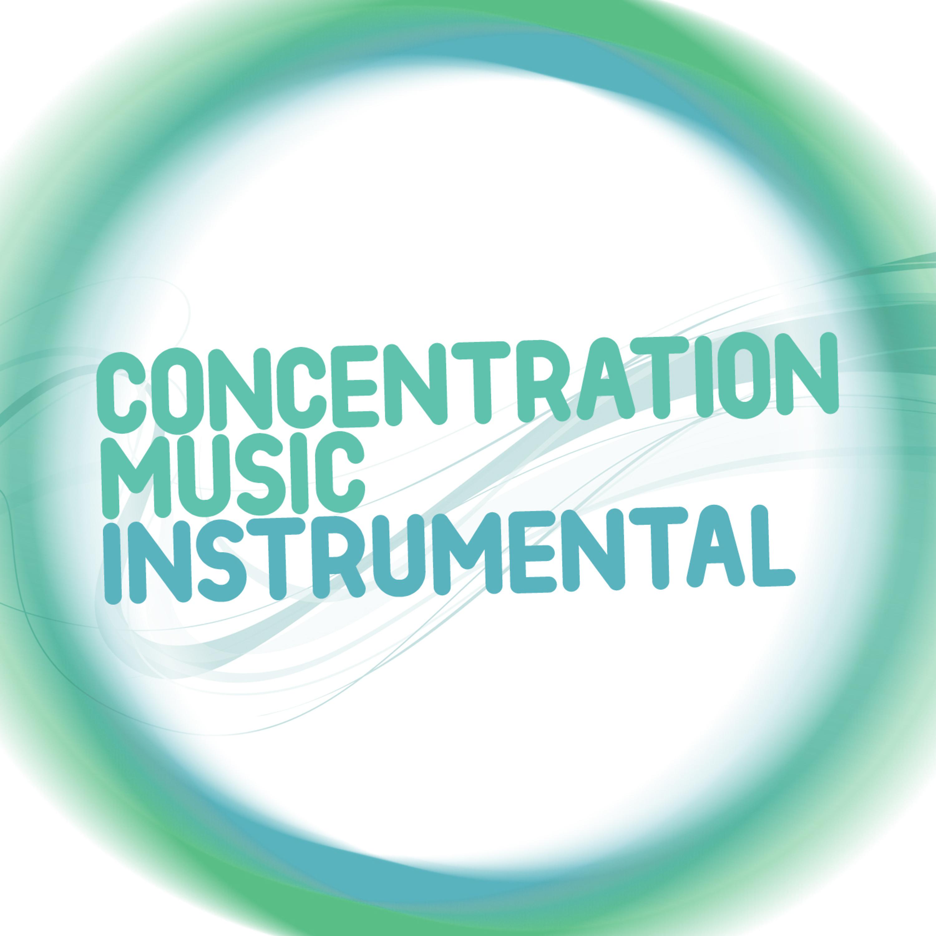 Постер альбома Concentration Music Instrumental
