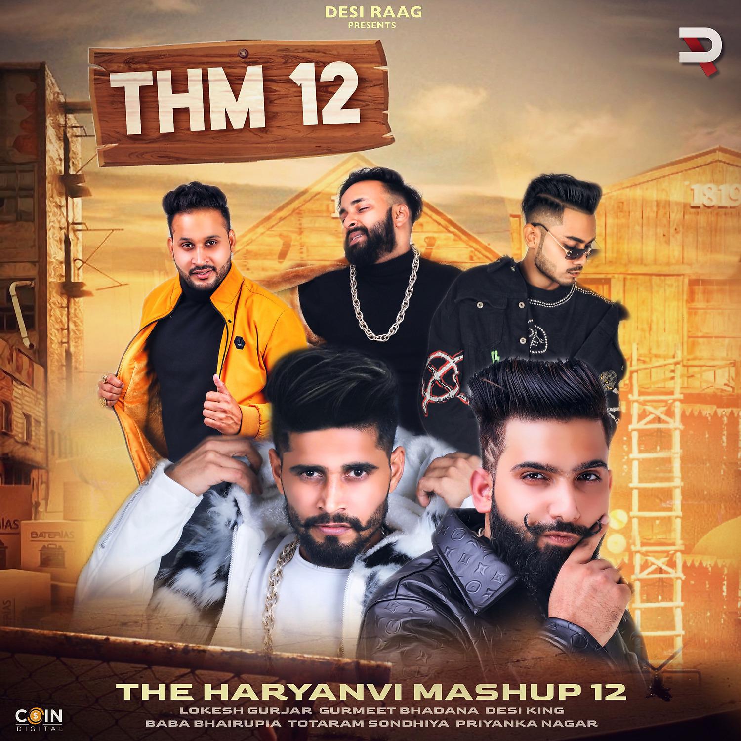 Постер альбома The Haryanvi Mashup 12
