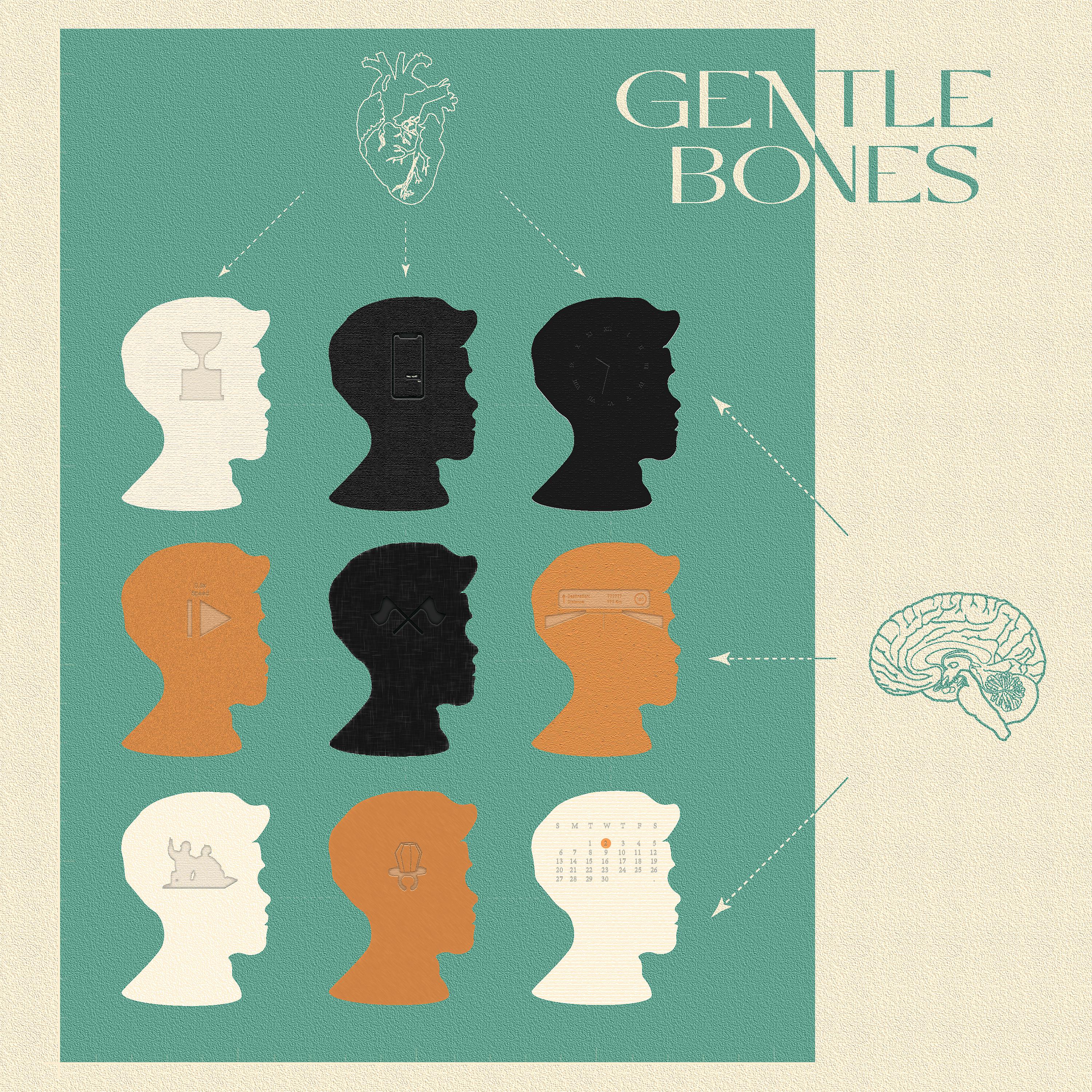 Постер альбома Gentle Bones