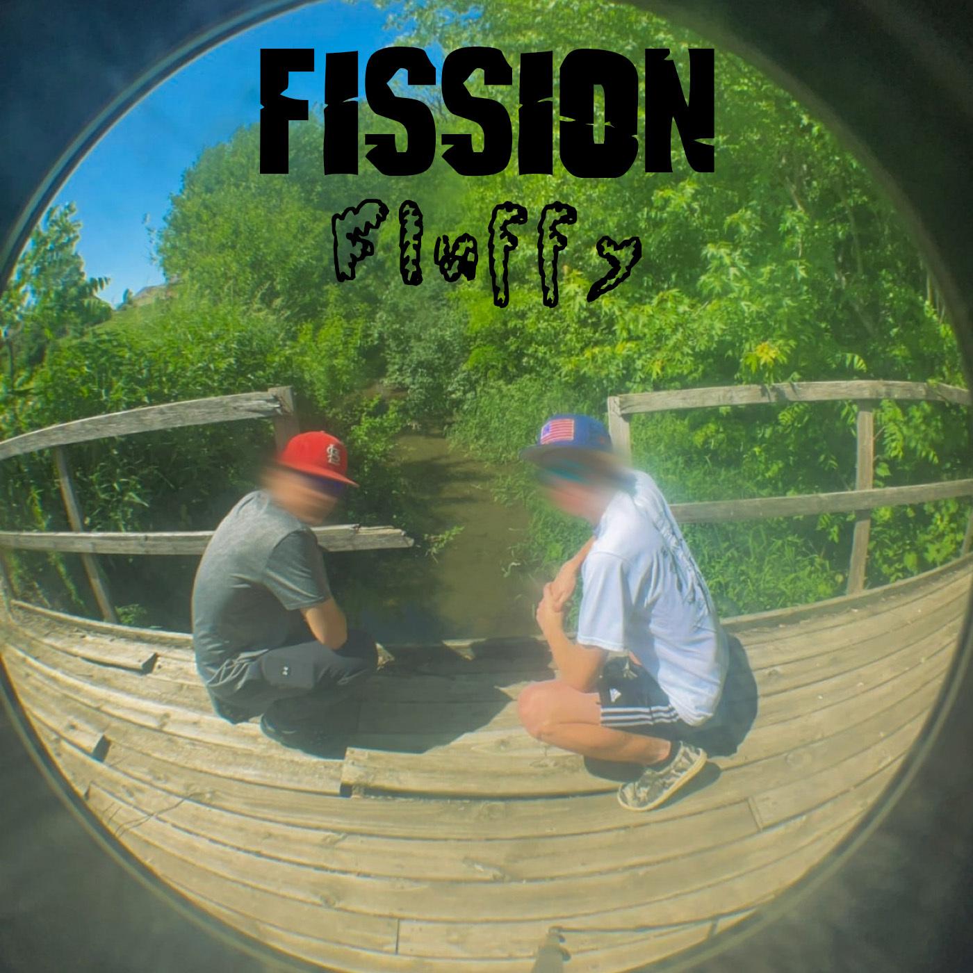 Постер альбома Fission