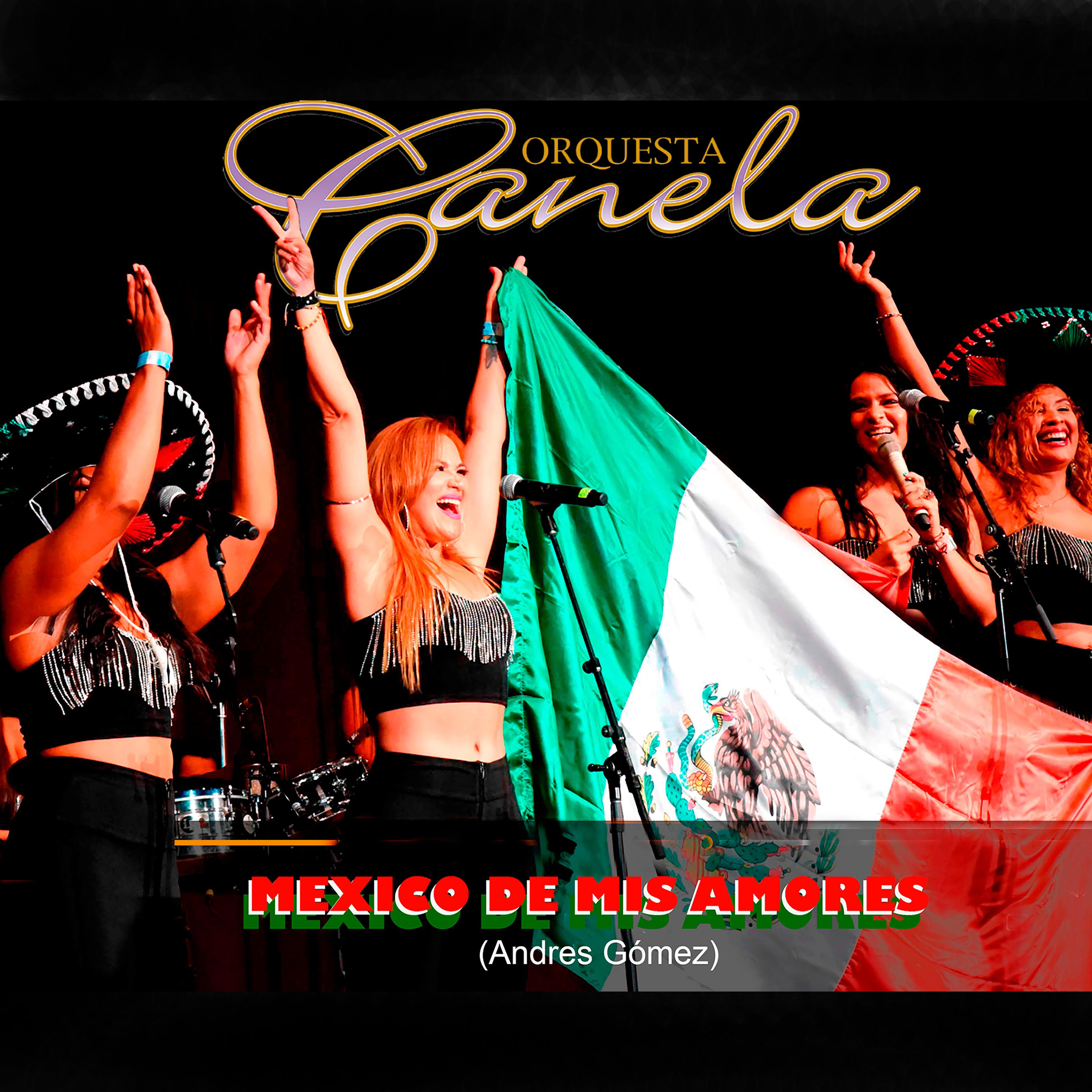 Постер альбома Mexico de Mis Amores