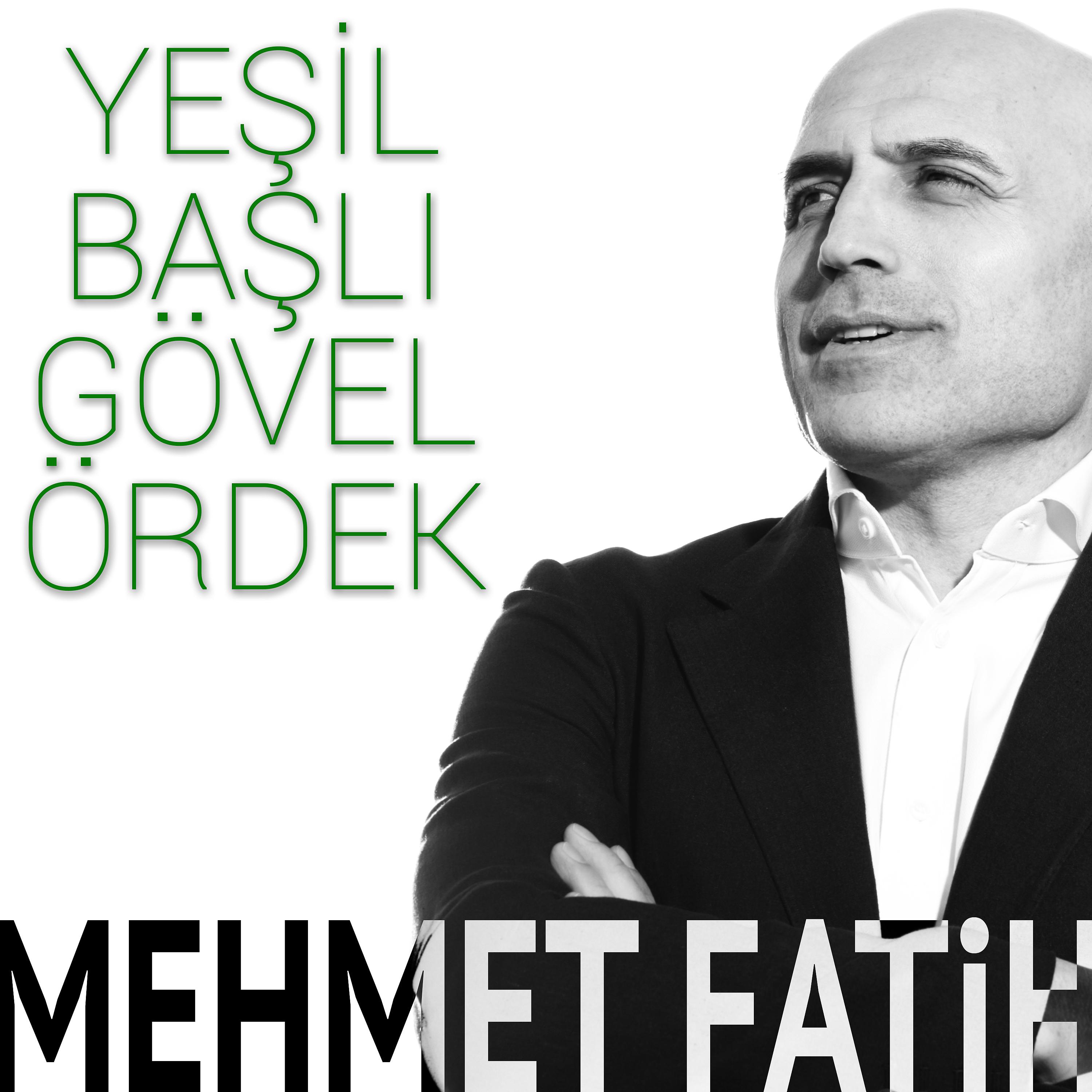 Постер альбома Yeşil Başlı Gövel Ördek