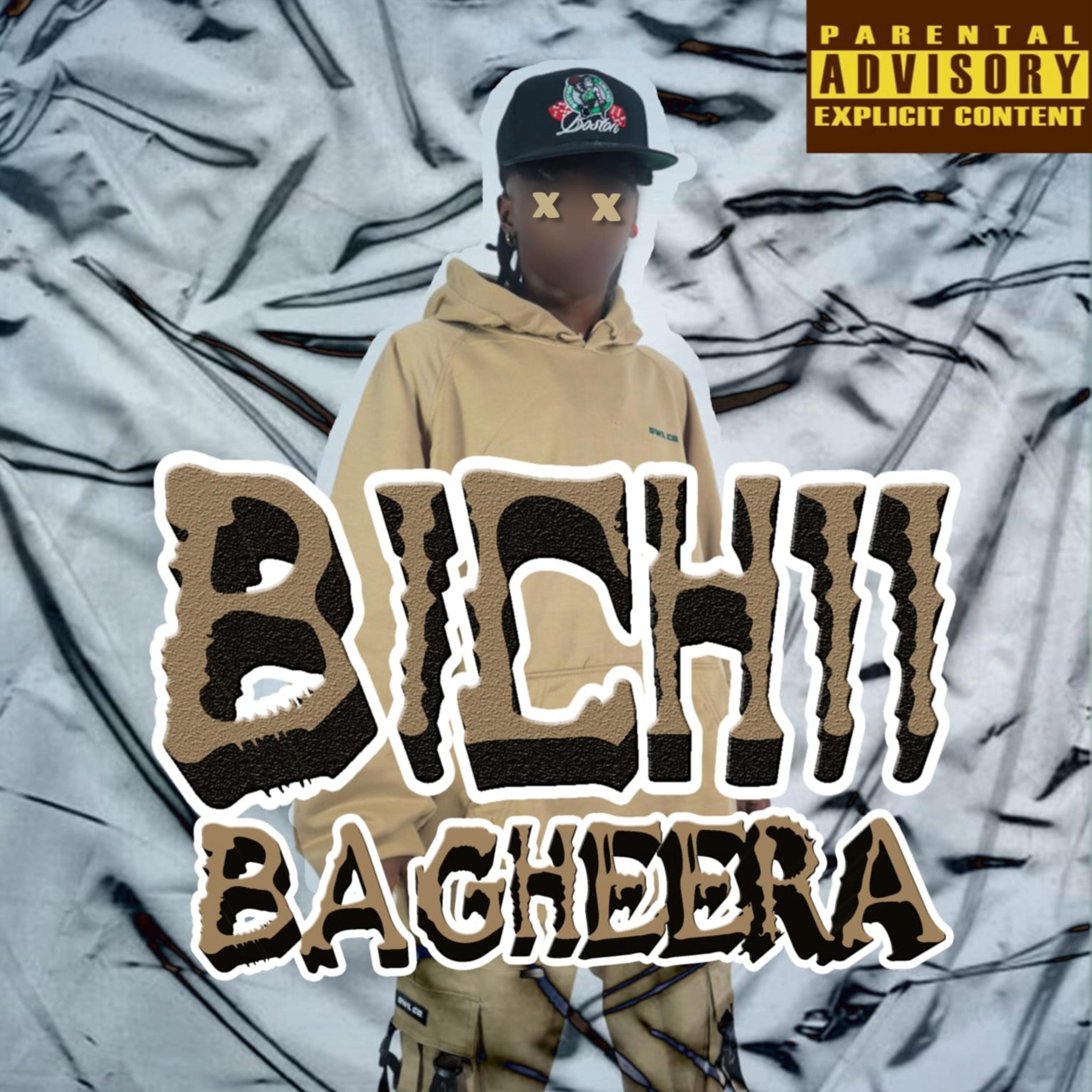 Постер альбома Bichii