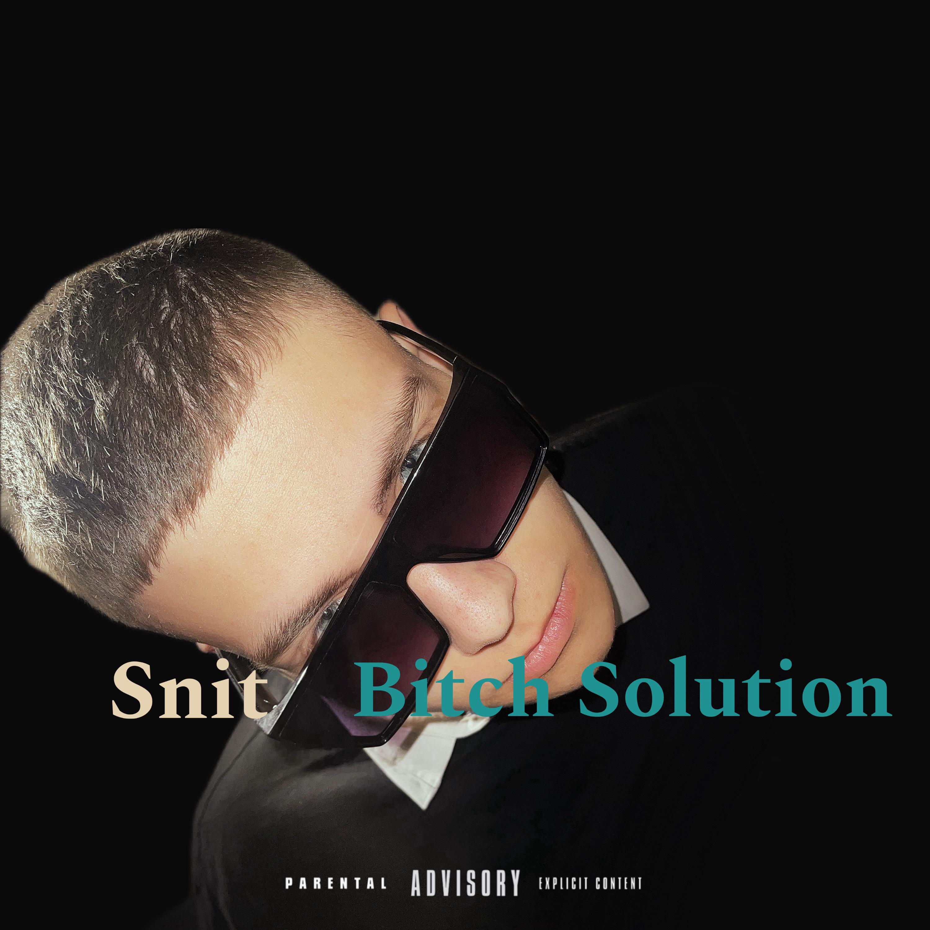 Постер альбома Bitch Solution