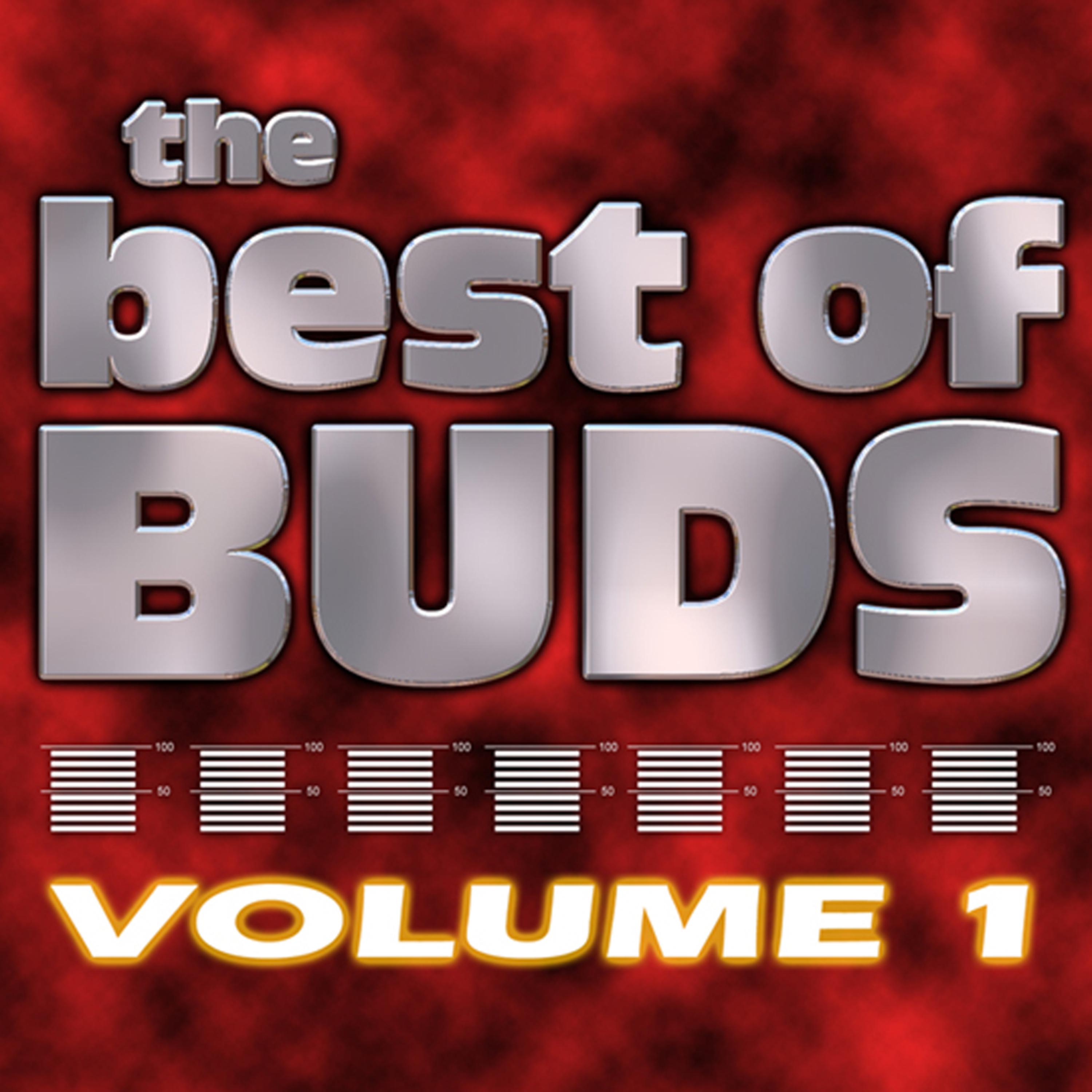 Постер альбома The Best of Buds Vol One