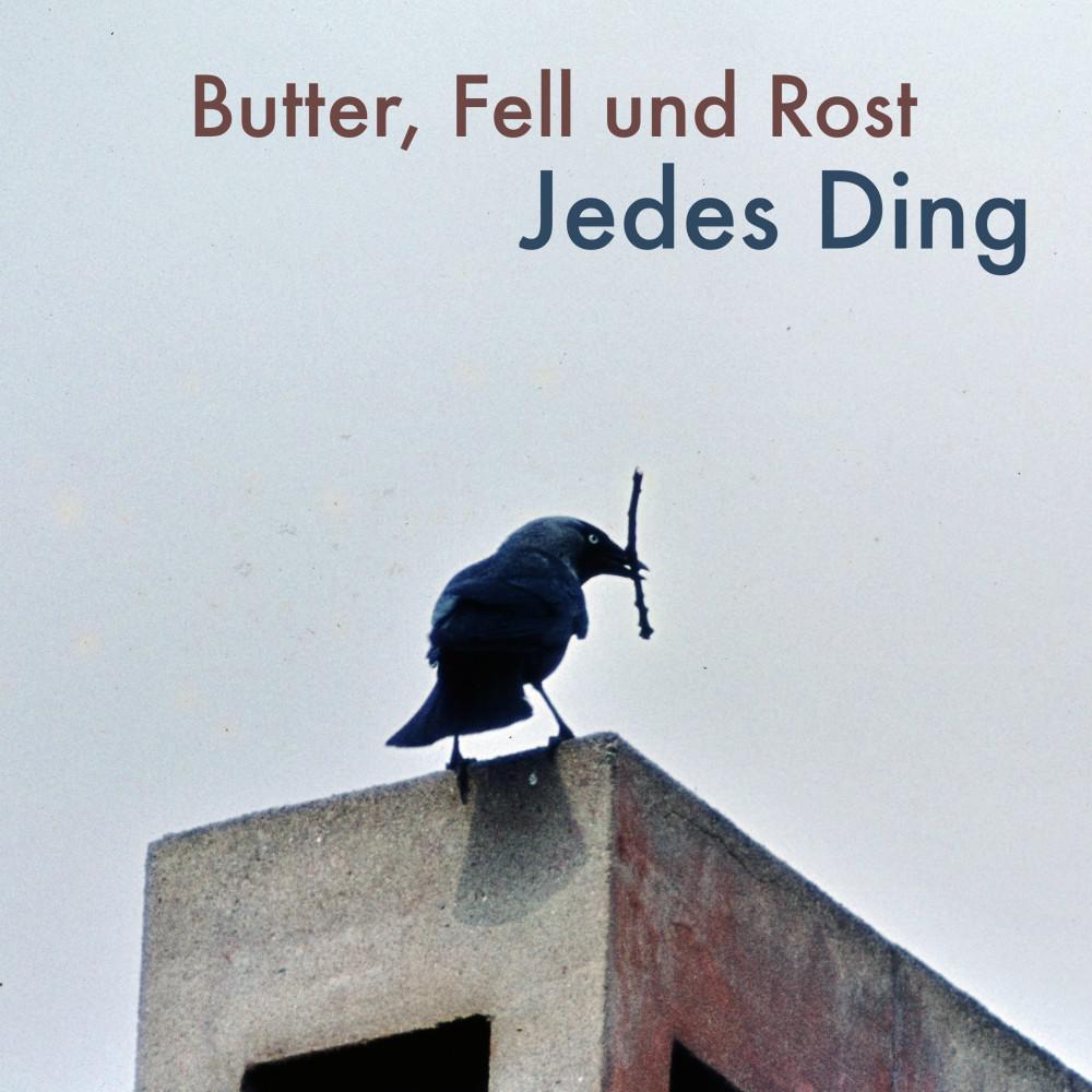 Постер альбома Jedes Ding