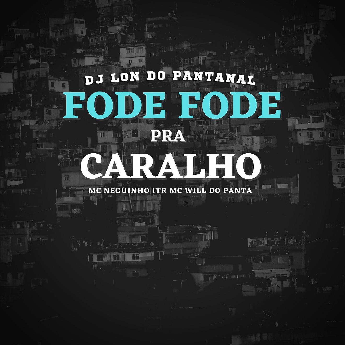 Постер альбома Fode Fode Pra Caralho