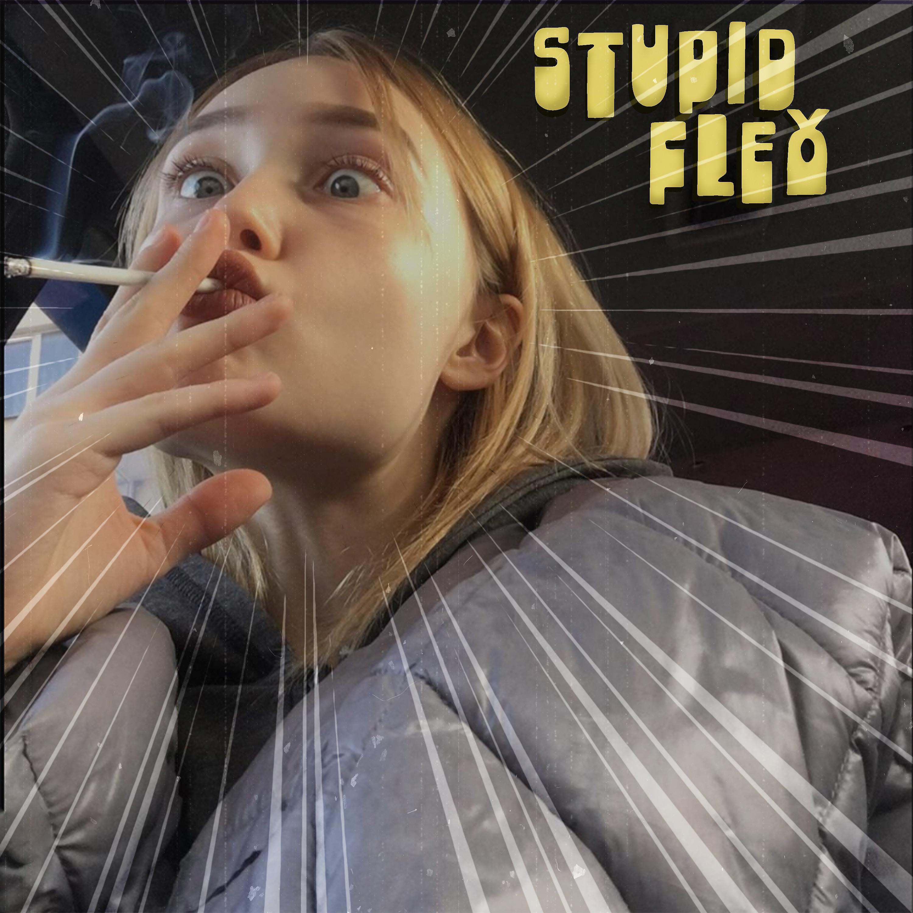 Постер альбома Stupid Flex