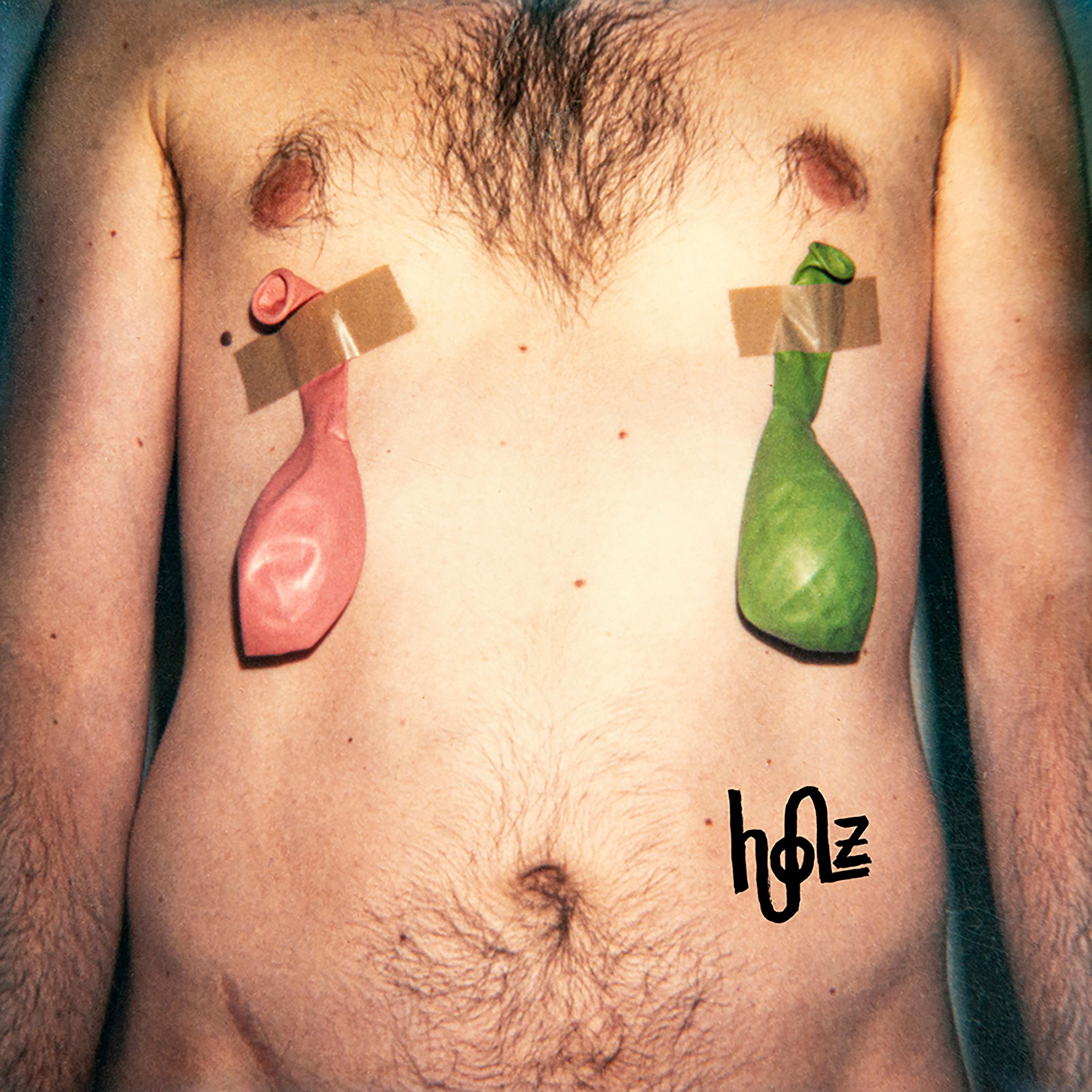 Постер альбома Holz