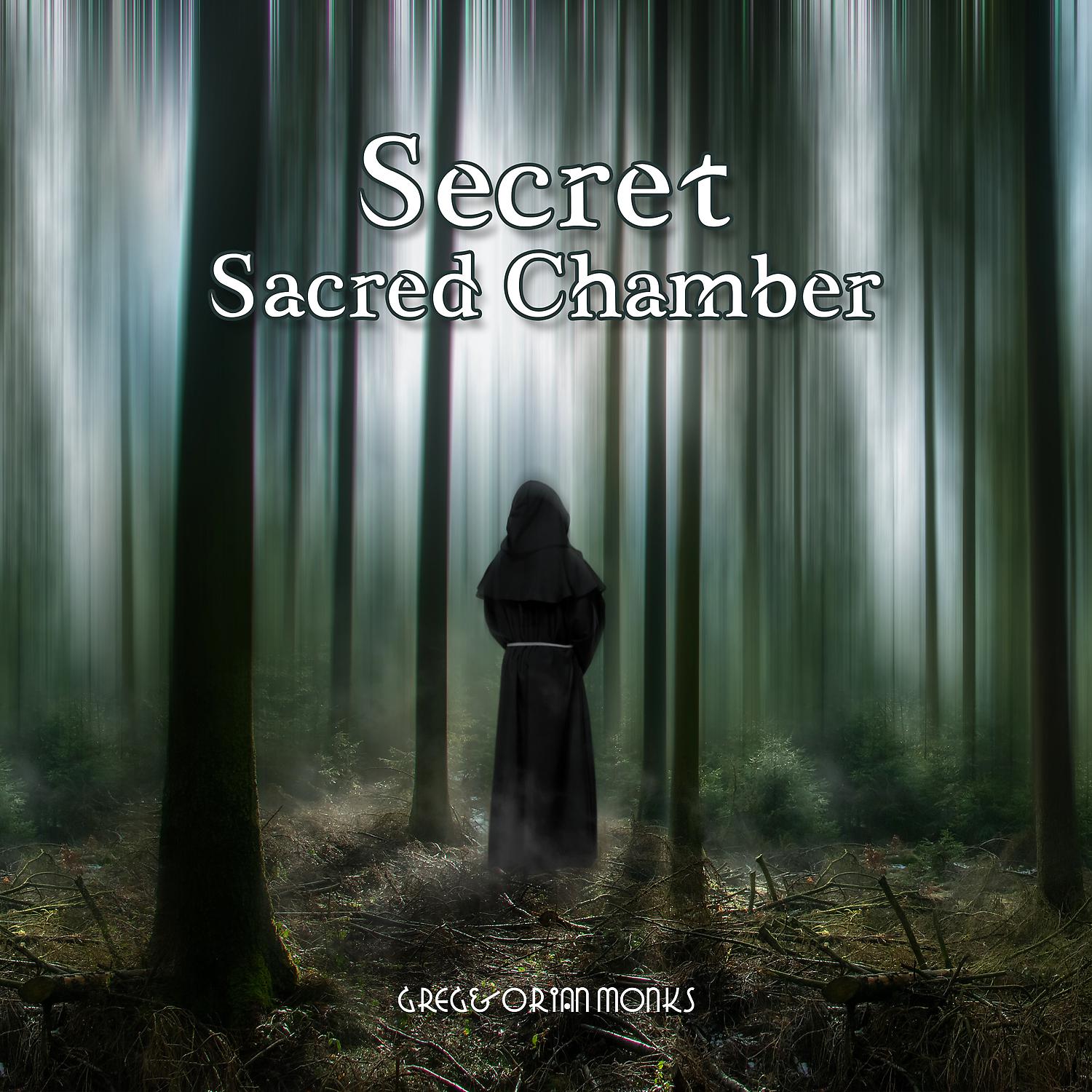 Постер альбома Secret Sacred Chamber