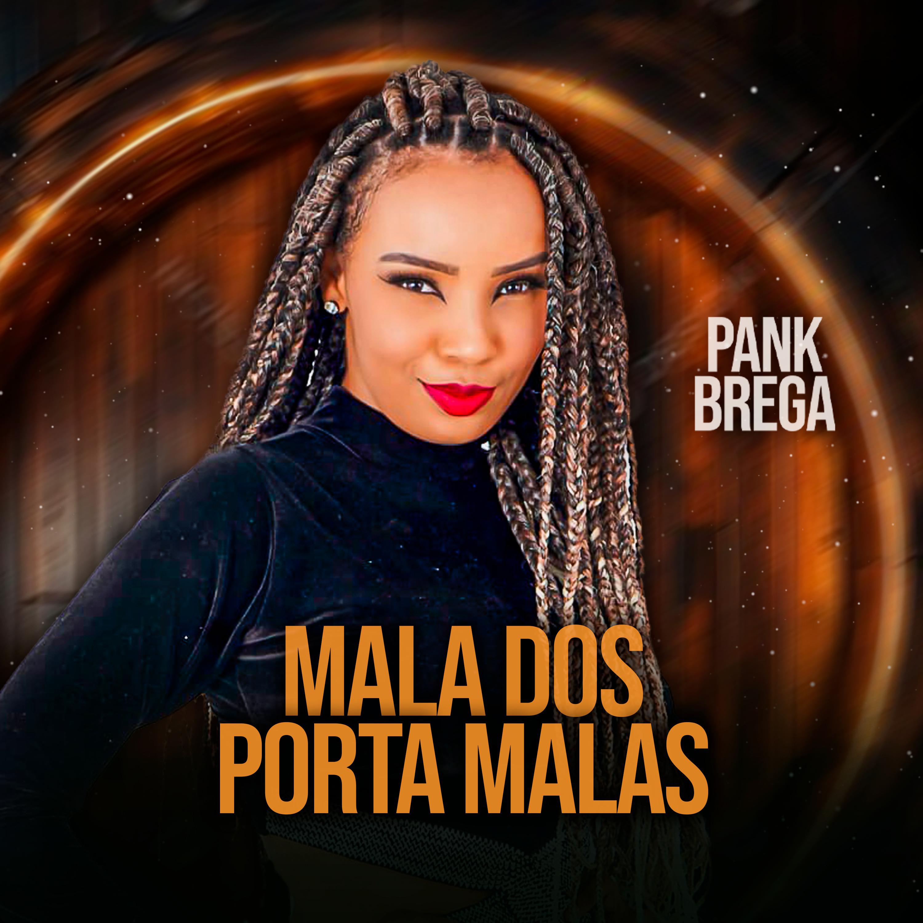 Постер альбома Mala dos Porta Malas