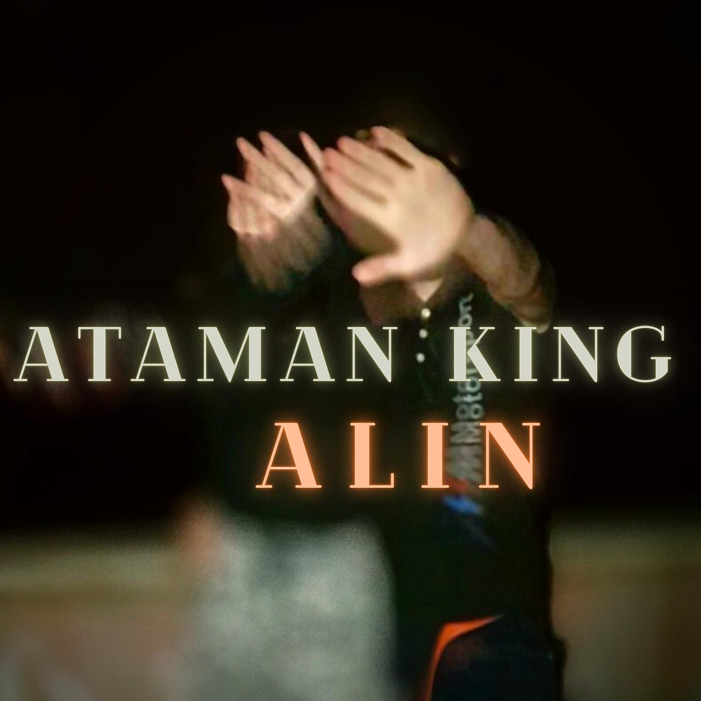 Постер альбома Alin