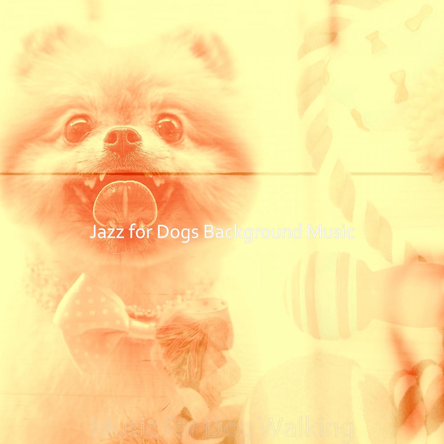 Постер альбома Music for Dog Walking