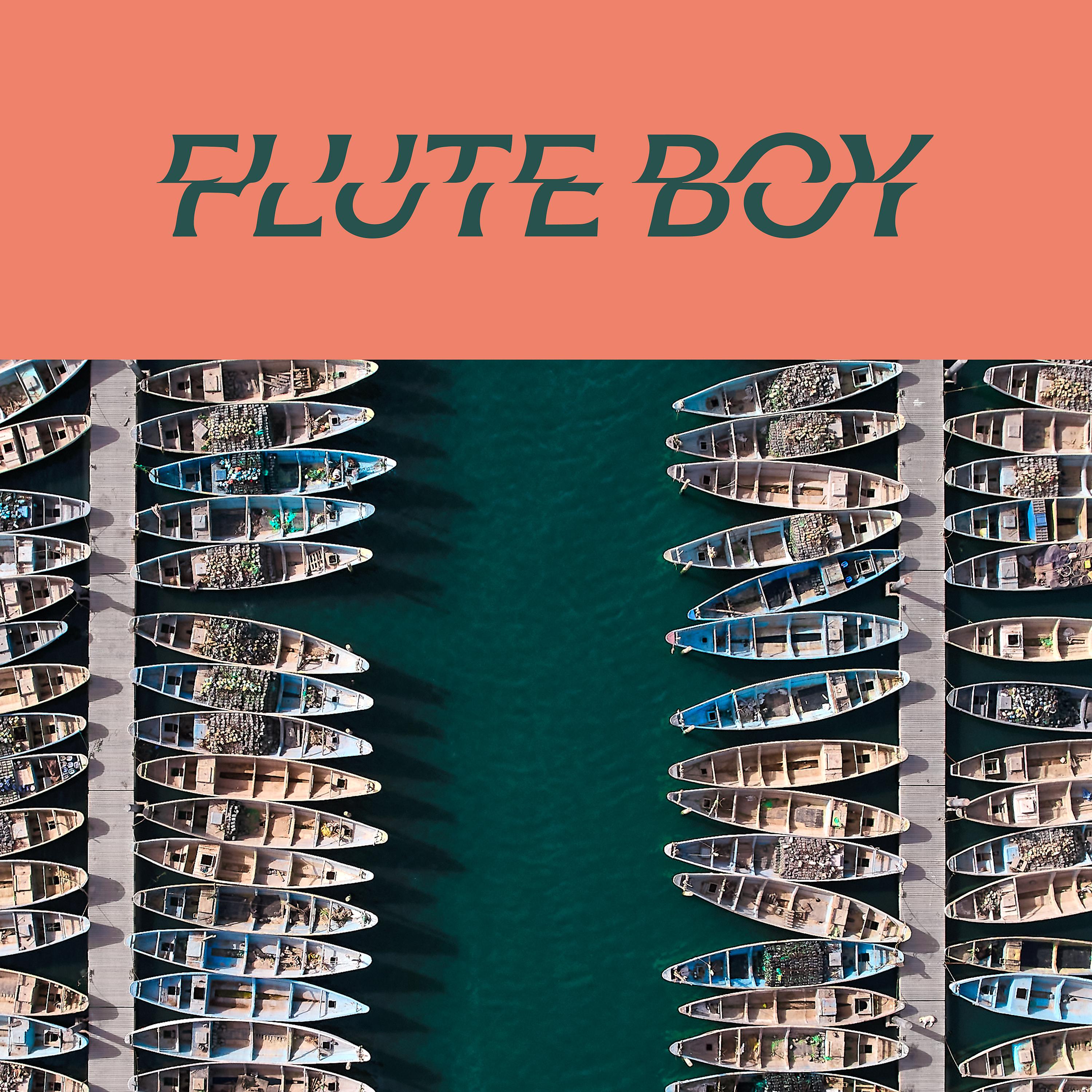 Постер альбома Flute Boy