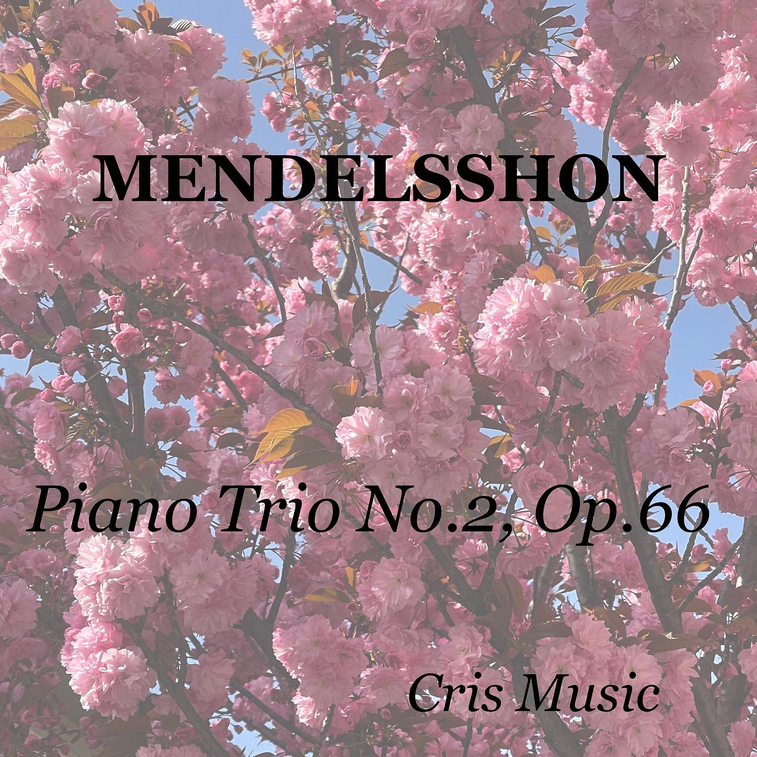 Постер альбома Mendelsshon: Piano Trio No.2, Op.66