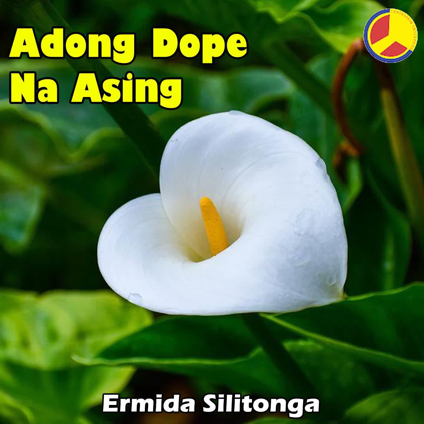 Постер альбома Adong Dope Na Asing