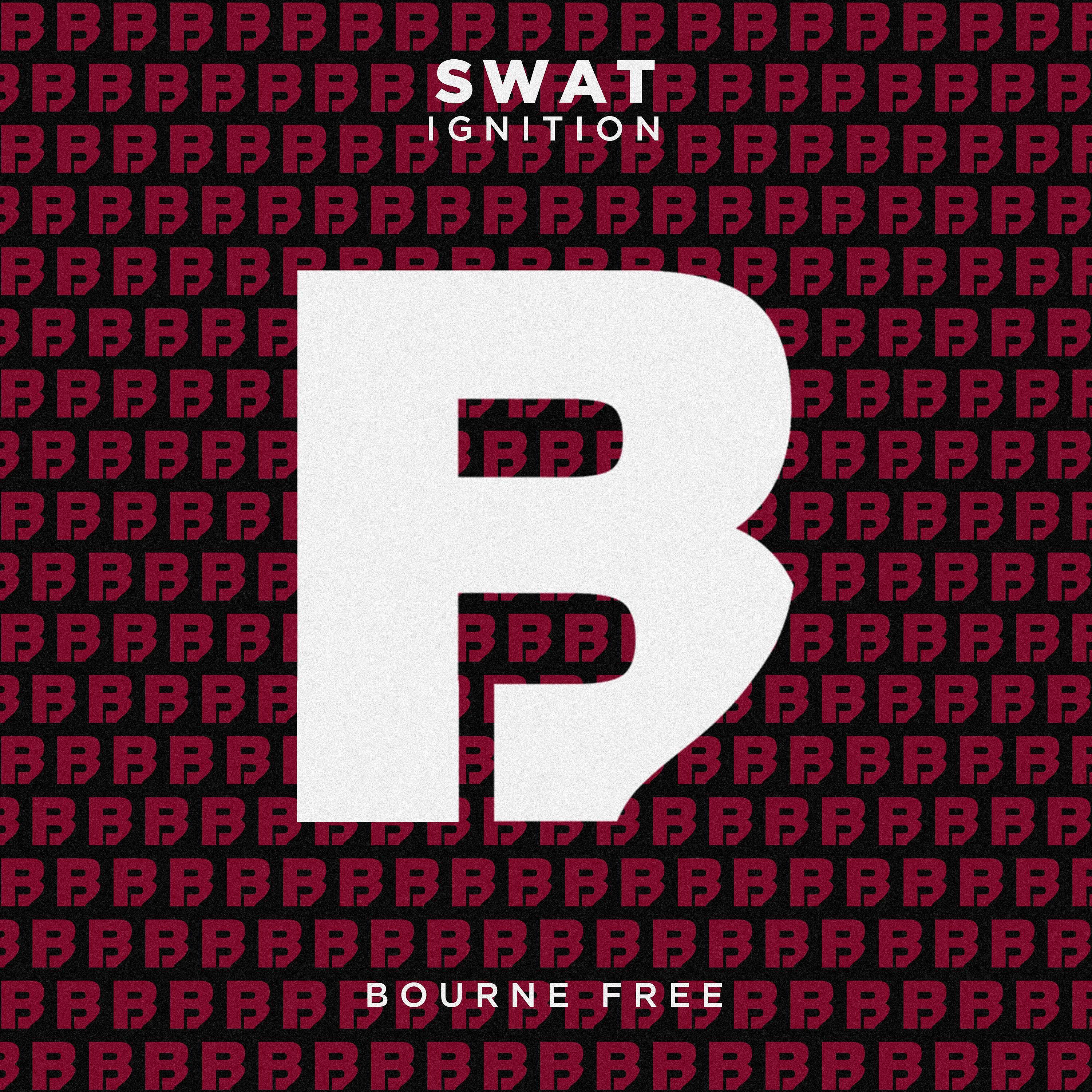 Постер альбома Swat