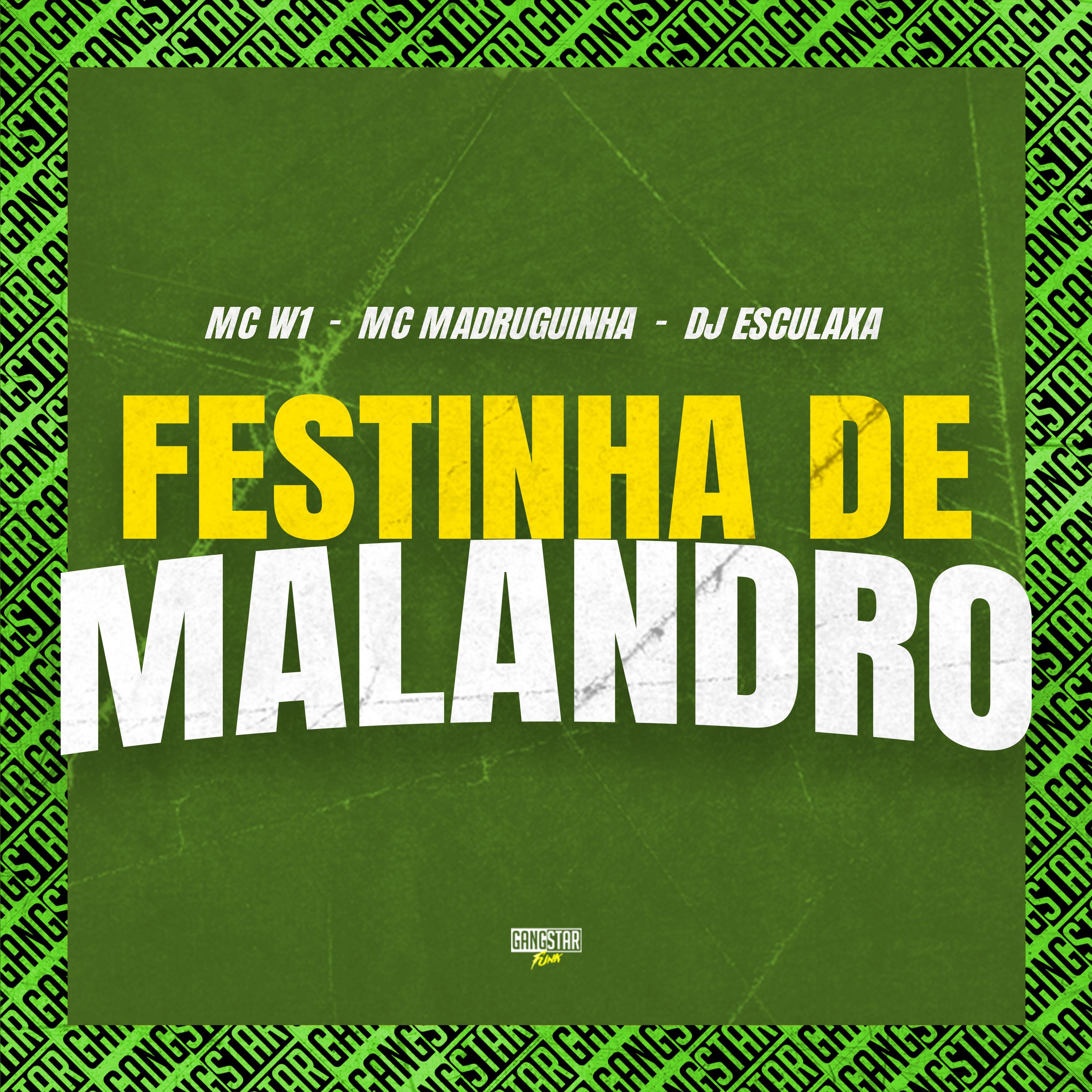 Постер альбома Festinha de Malandro
