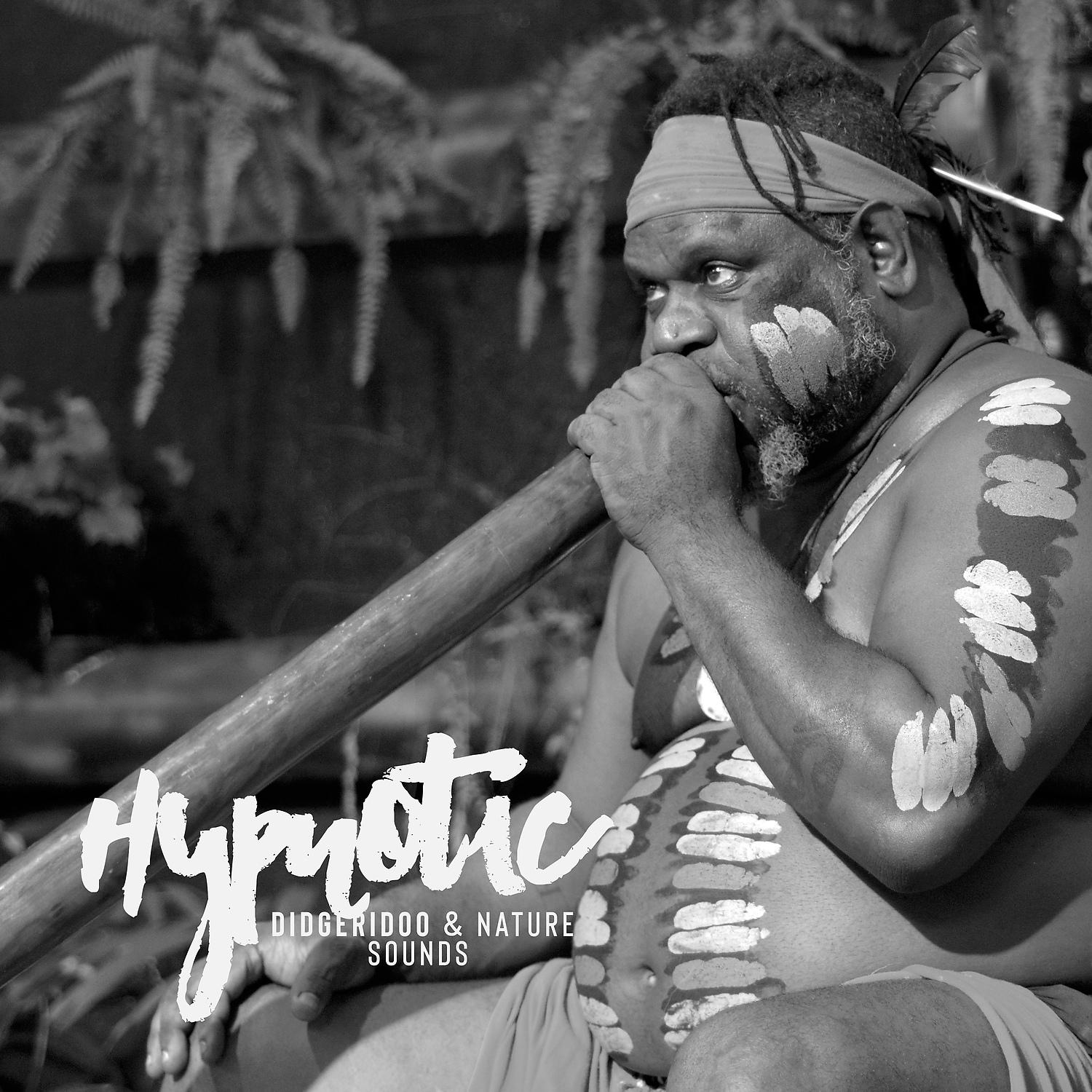 Постер альбома Hypnotic Didgeridoo & Nature Sounds: Australian Aboriginal Music