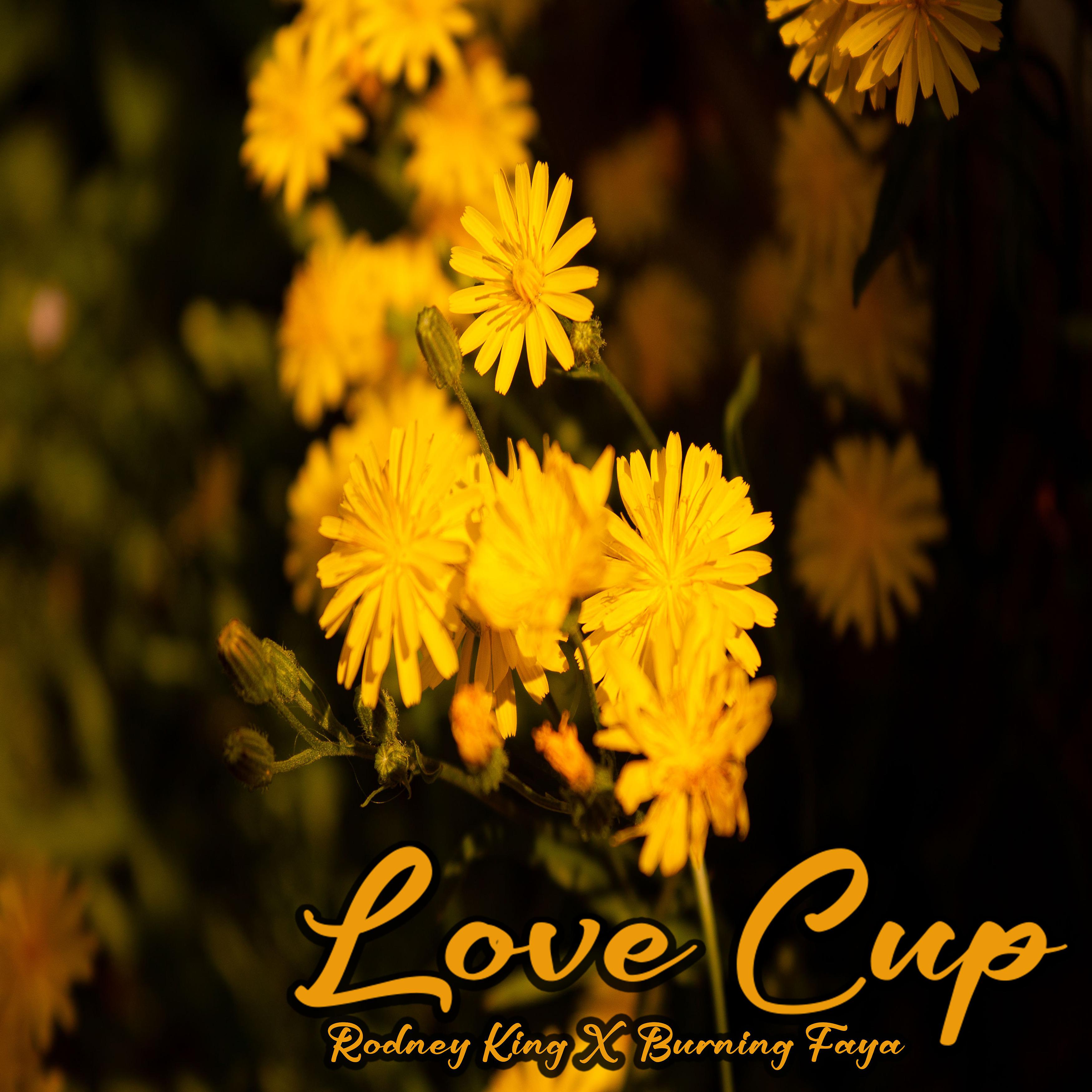 Постер альбома Love Cup