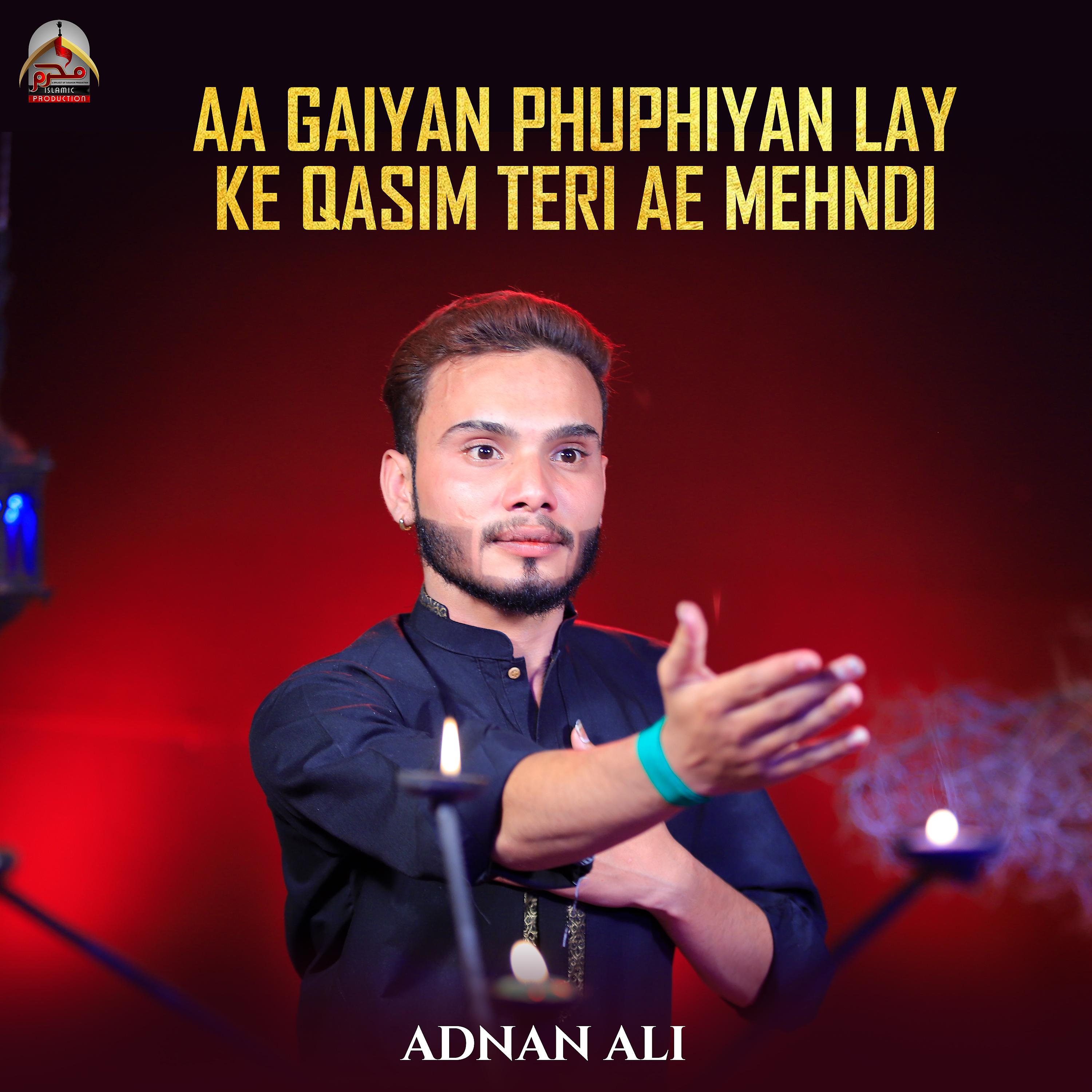 Постер альбома Aa Gaiyan Phuphiyan Lay Ke Qasim Teri Ae Mehndi - Single