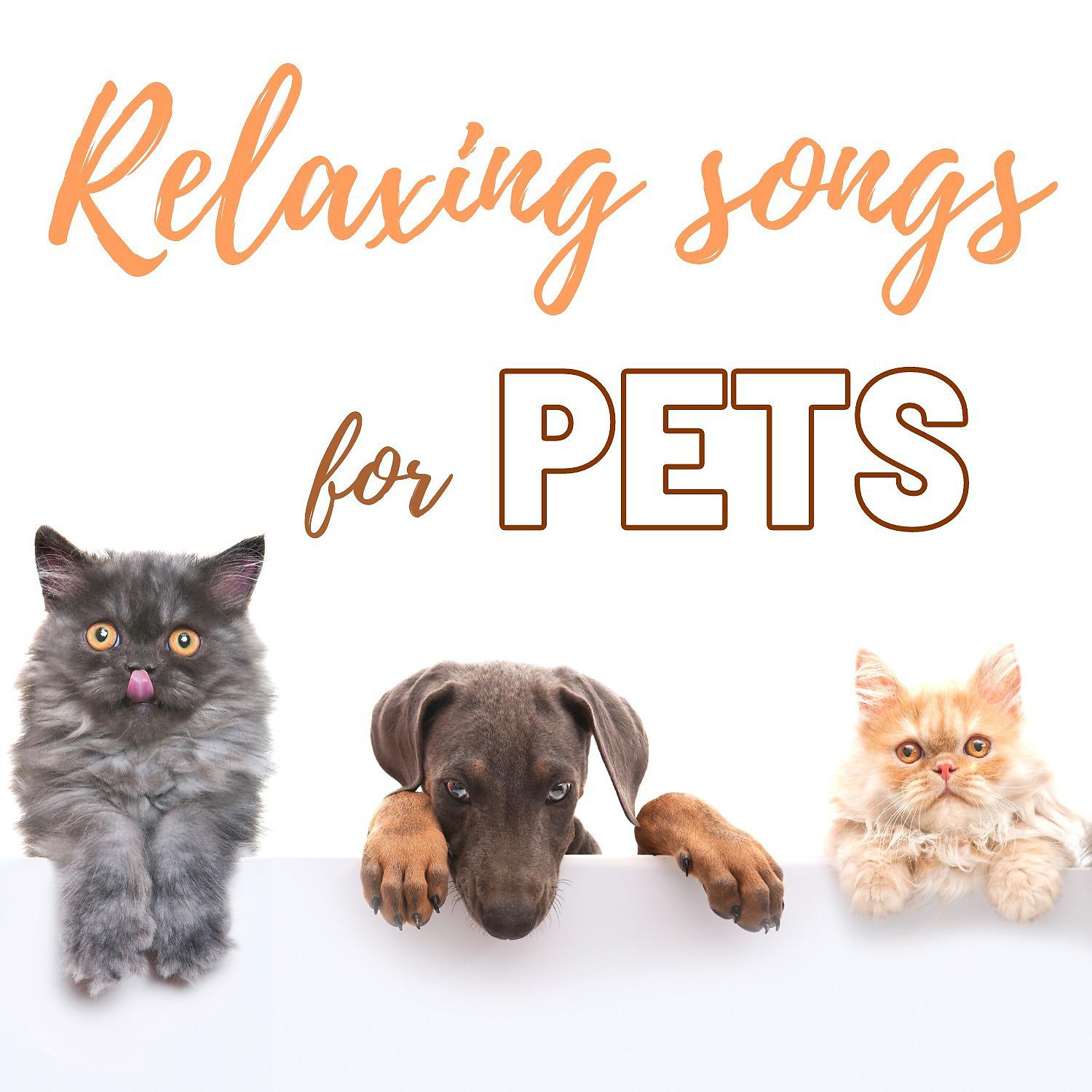 Постер альбома Расслабляющие песни для домашних животных - Звуки природы и инструментальная музыка для беспокойства