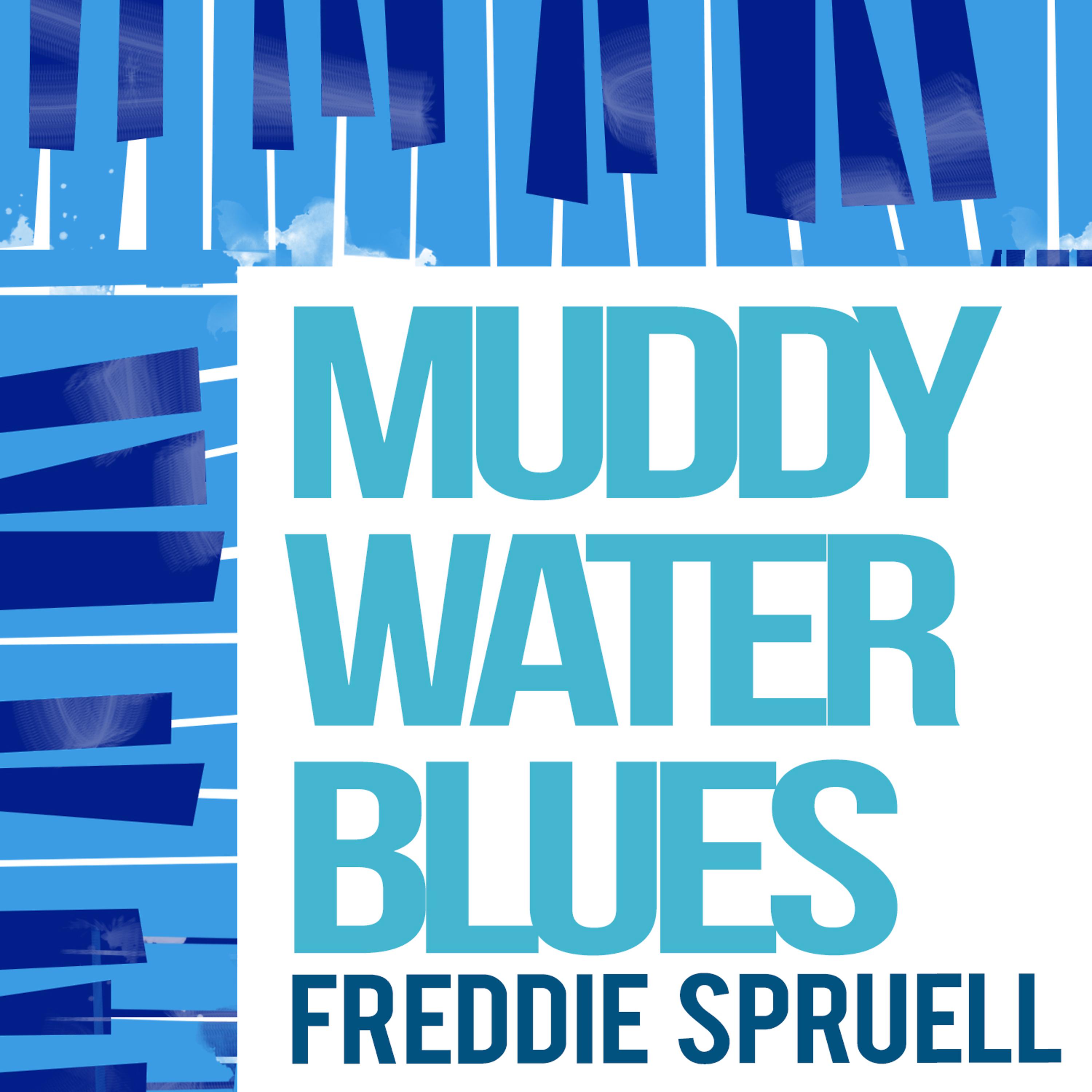 Постер альбома Muddy Water Blues