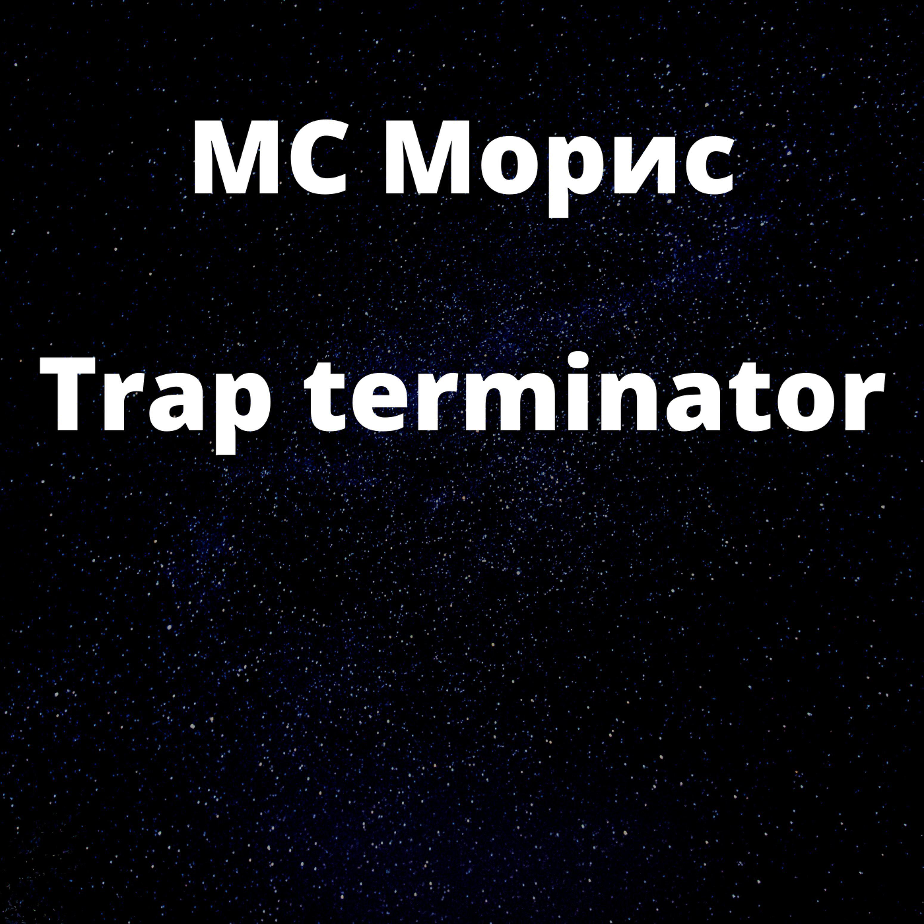 Постер альбома Trap Terminator