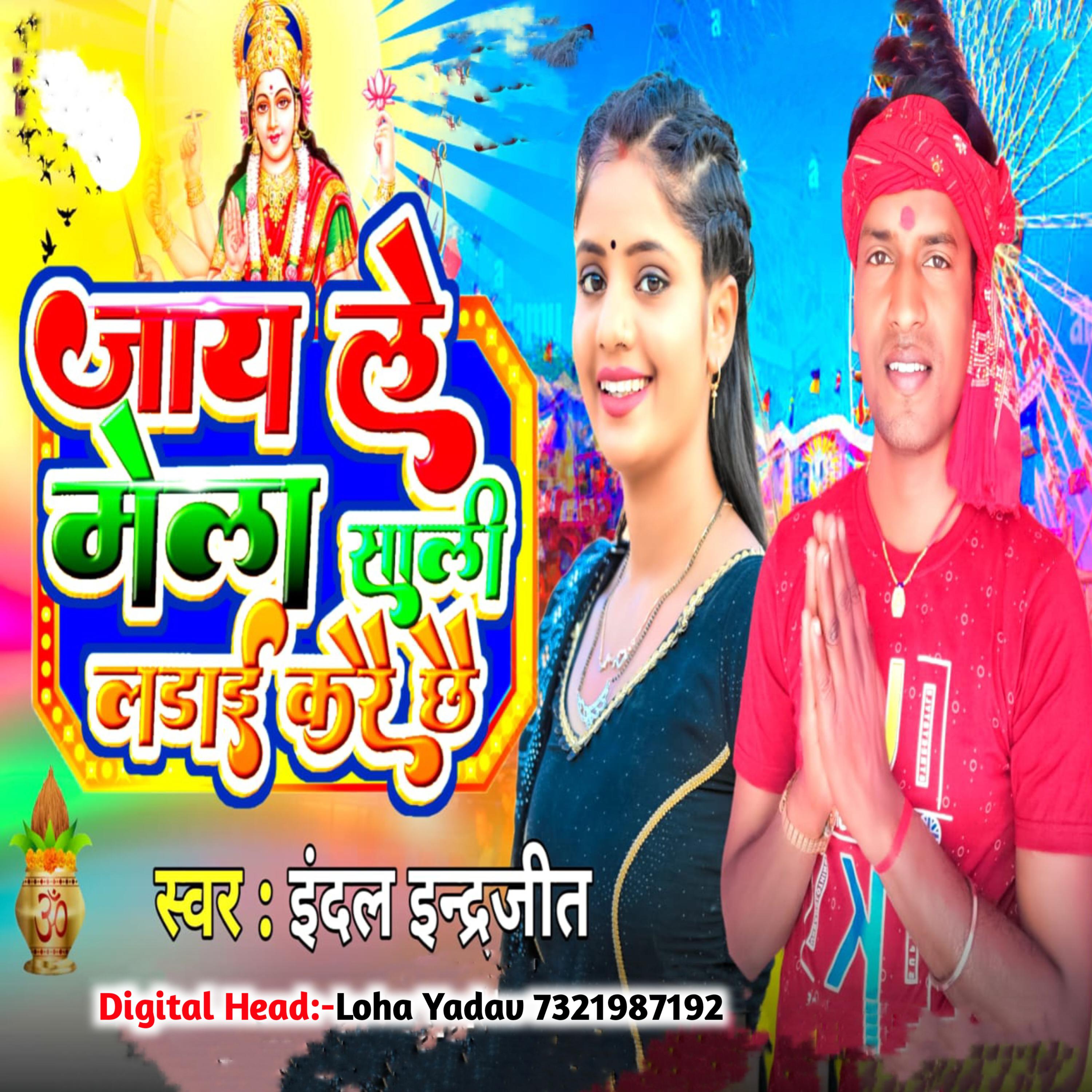 Постер альбома Jai Le Mela Sali Larai Kare Chhe