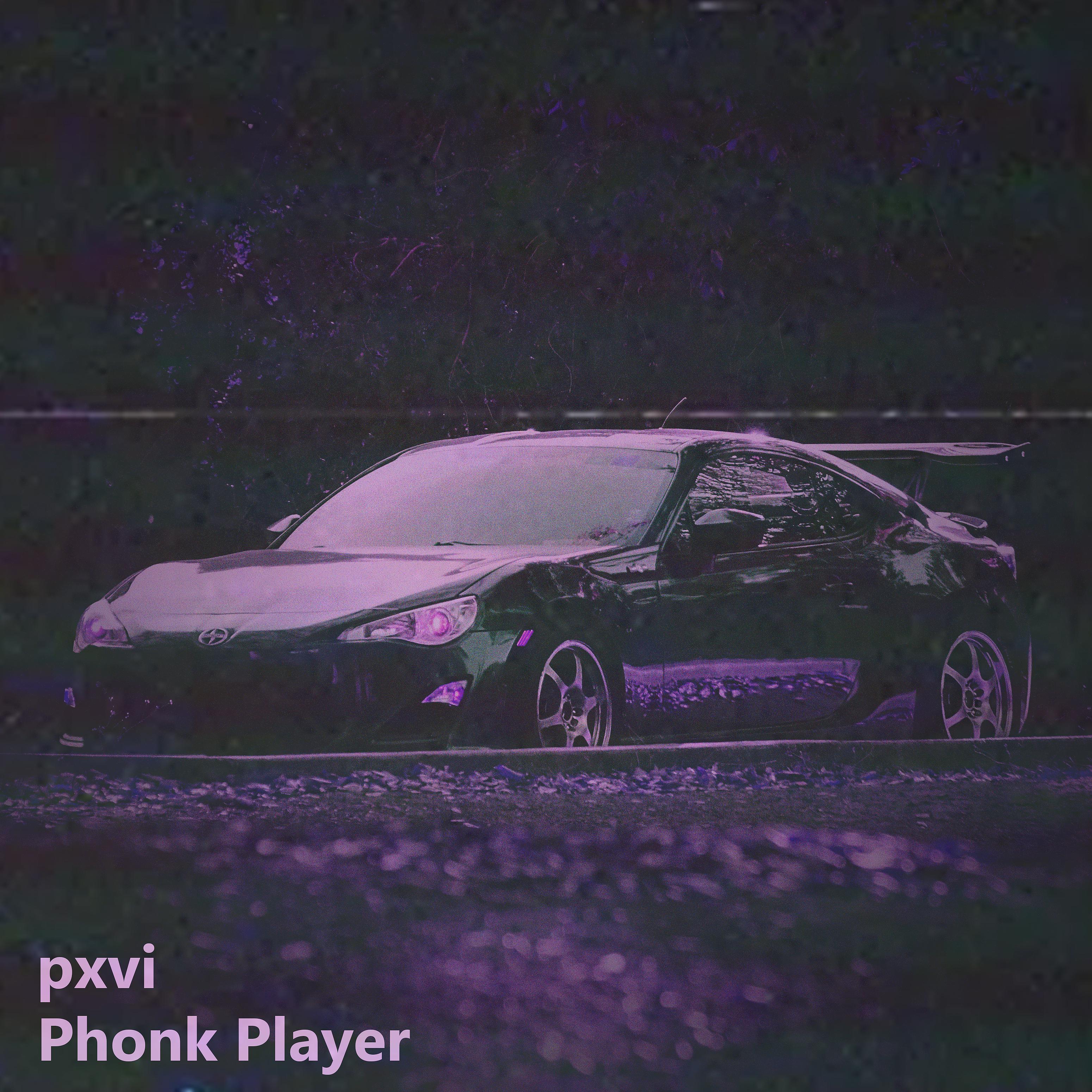 Постер альбома Phonk Player