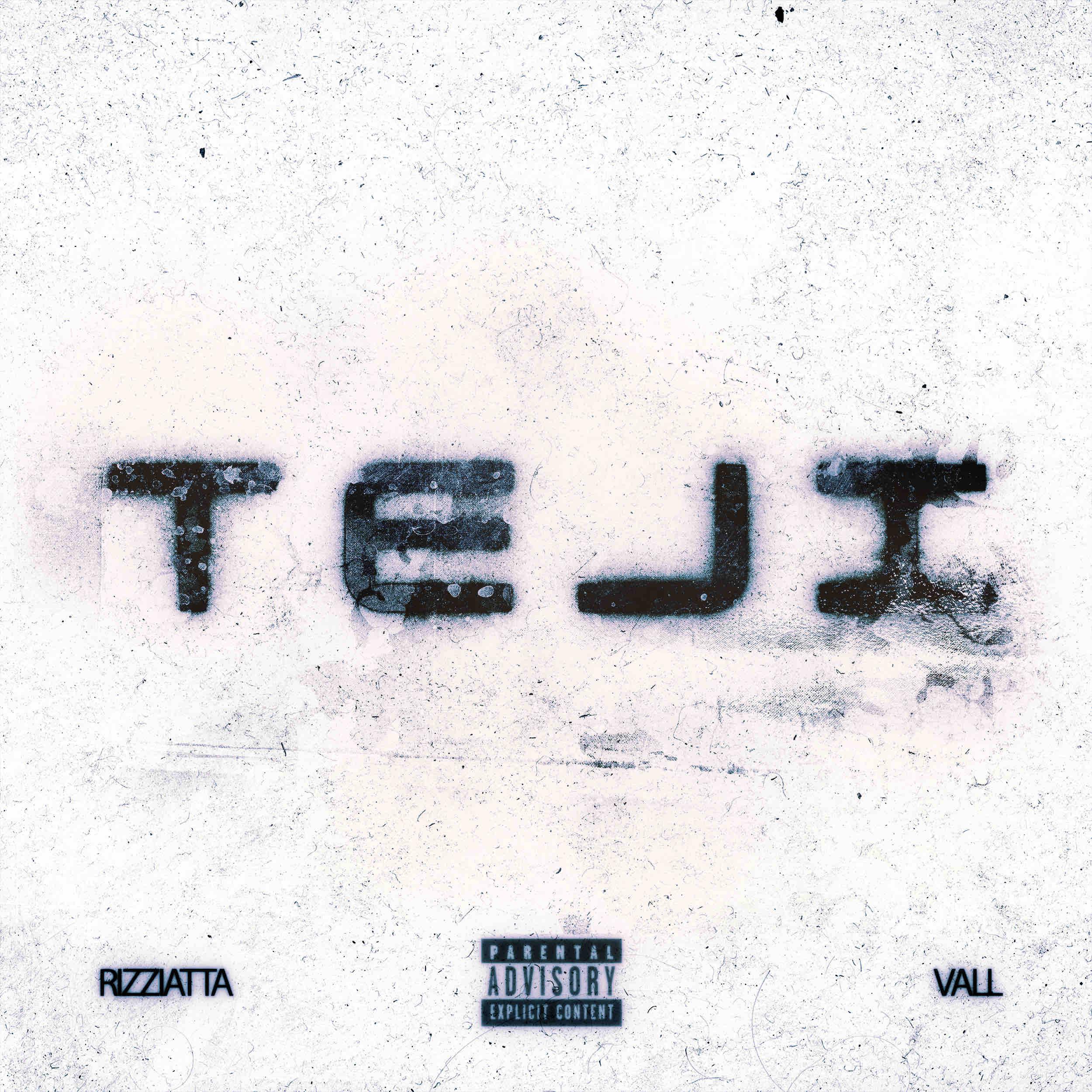 Постер альбома TEJI