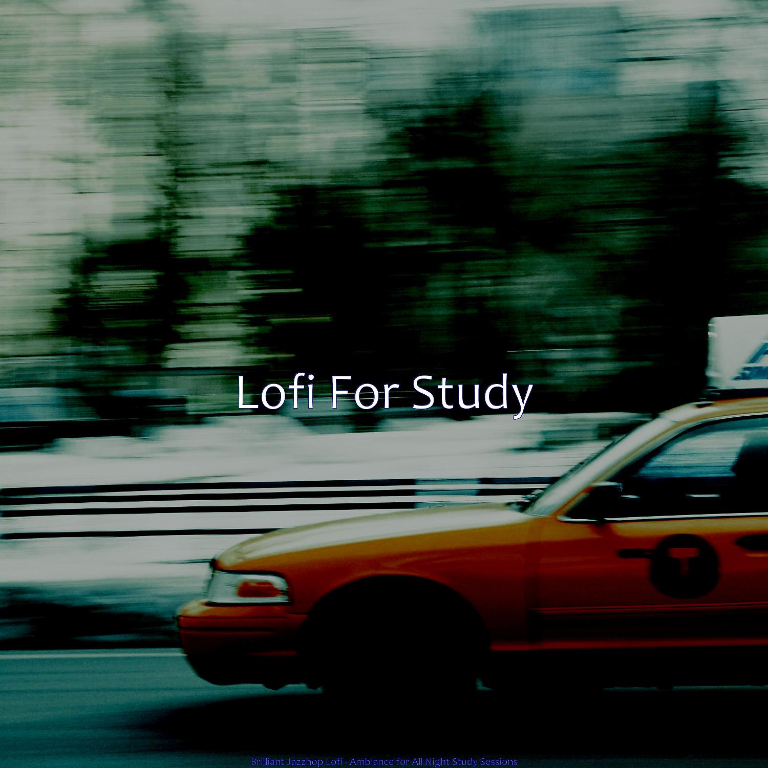 Постер альбома Brilliant Jazzhop Lofi - Ambiance for All Night Study Sessions