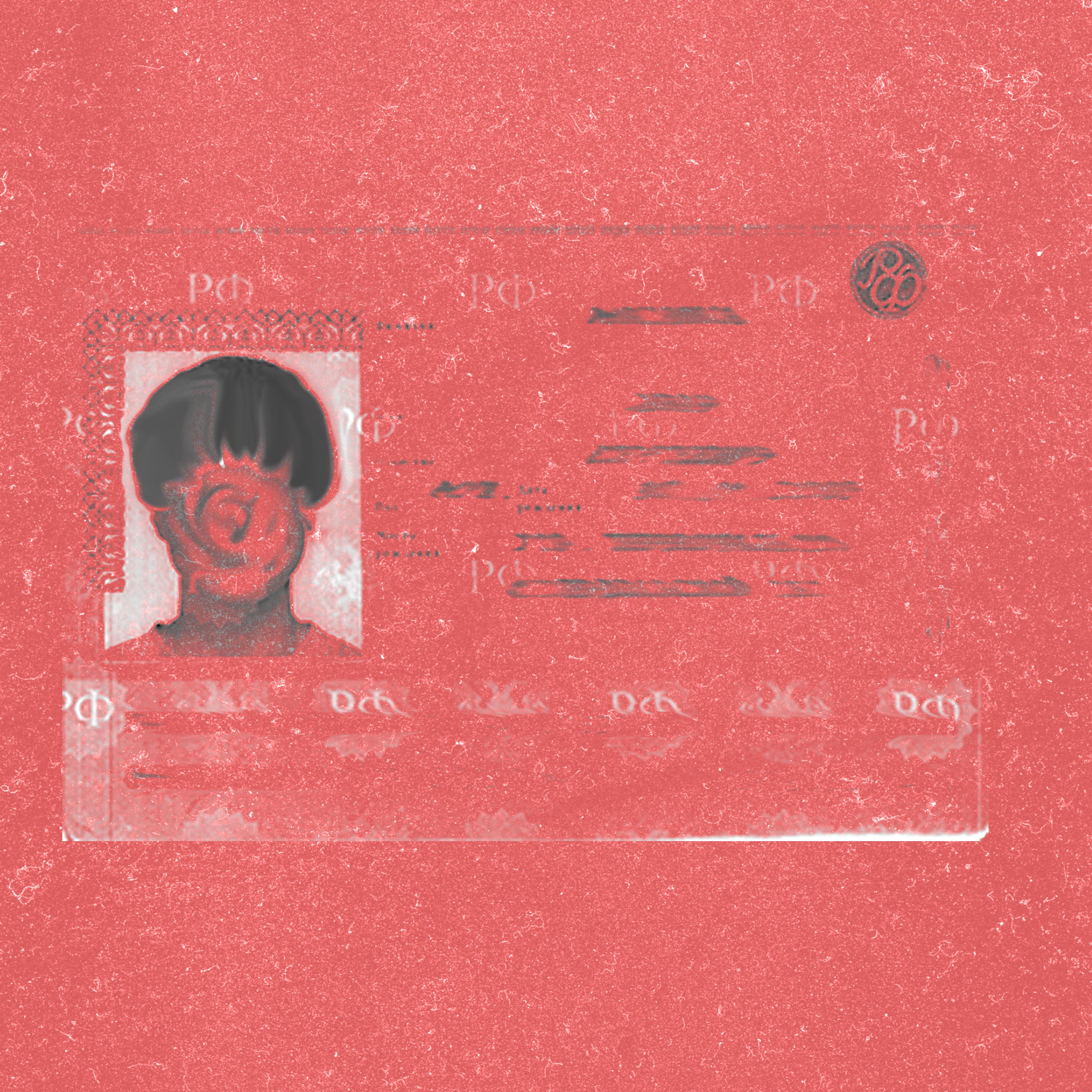 Постер альбома Ксерокопия паспорта матери