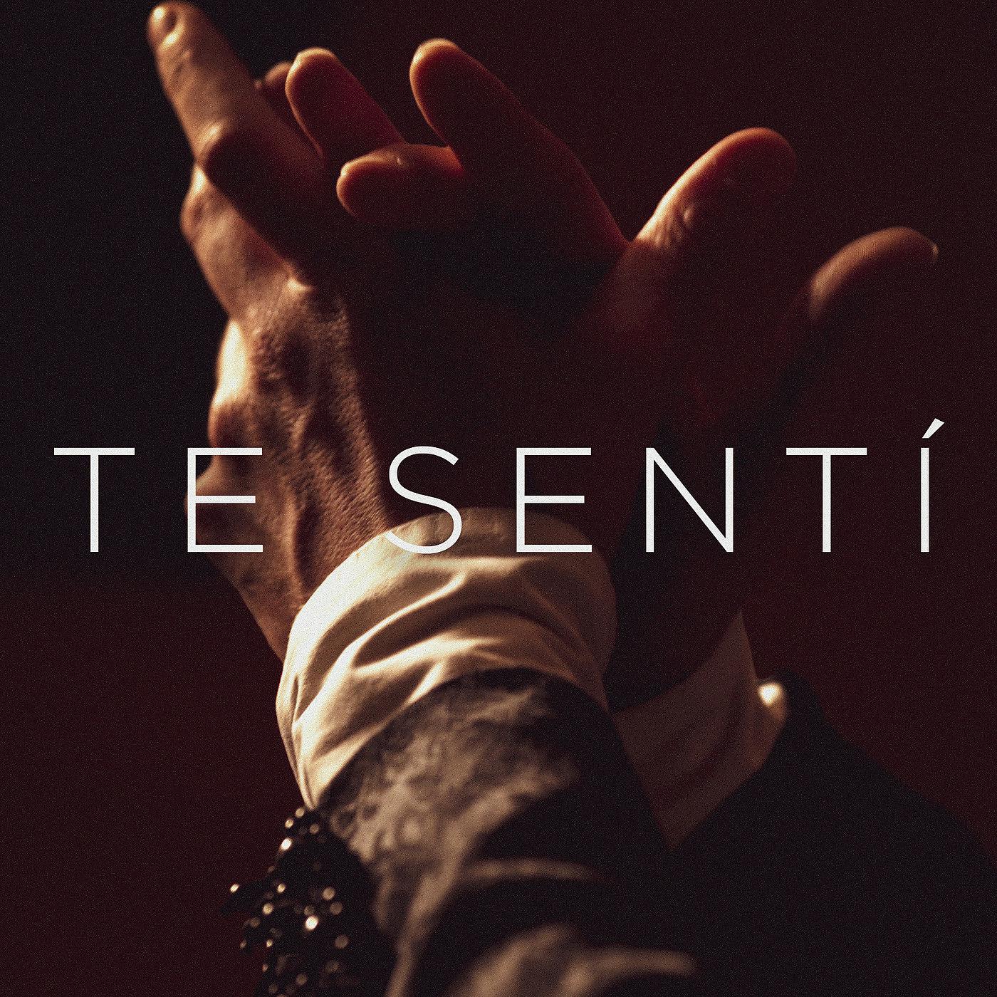Постер альбома Te Sentí