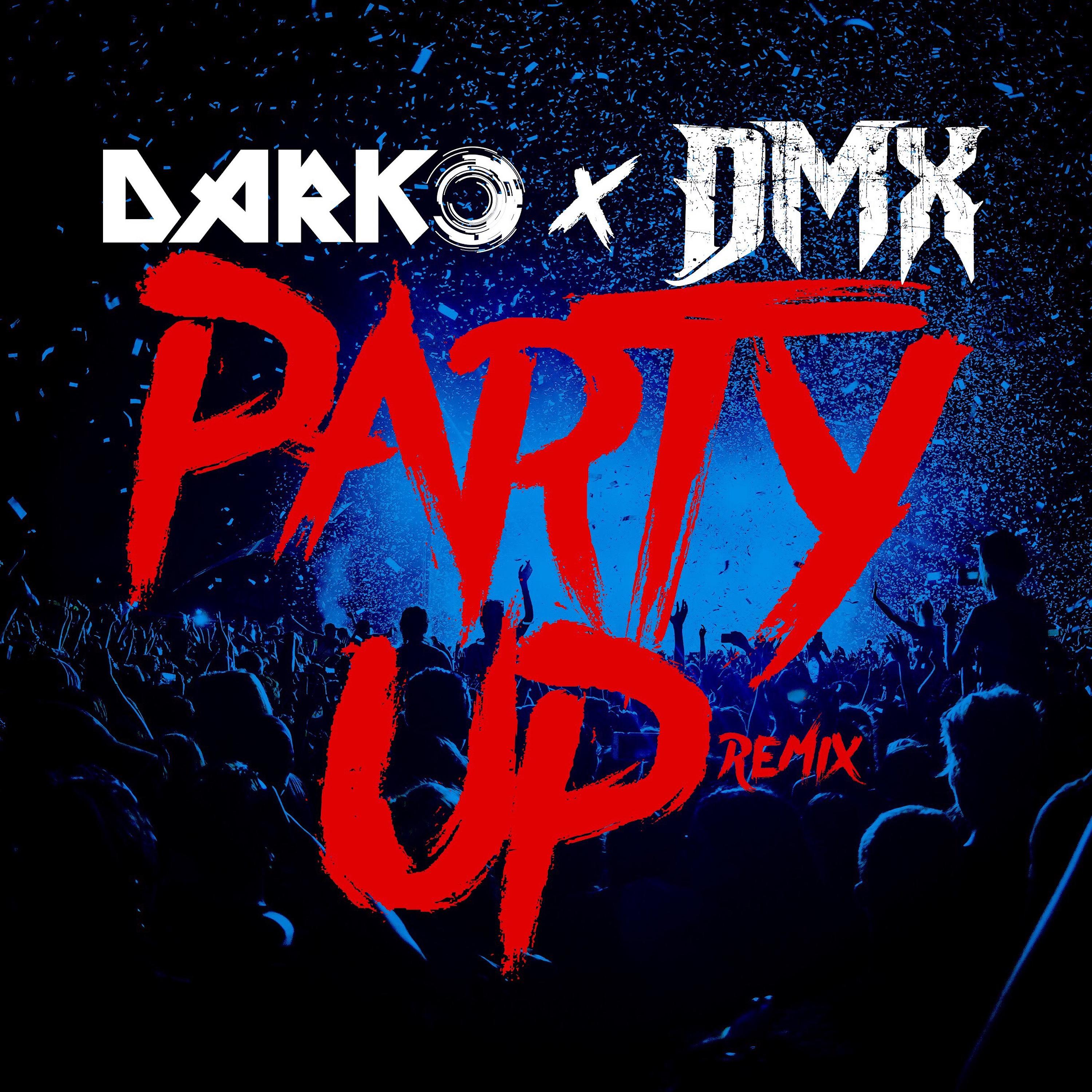 Постер альбома Party Up (Up in Here) - DARKO Remix