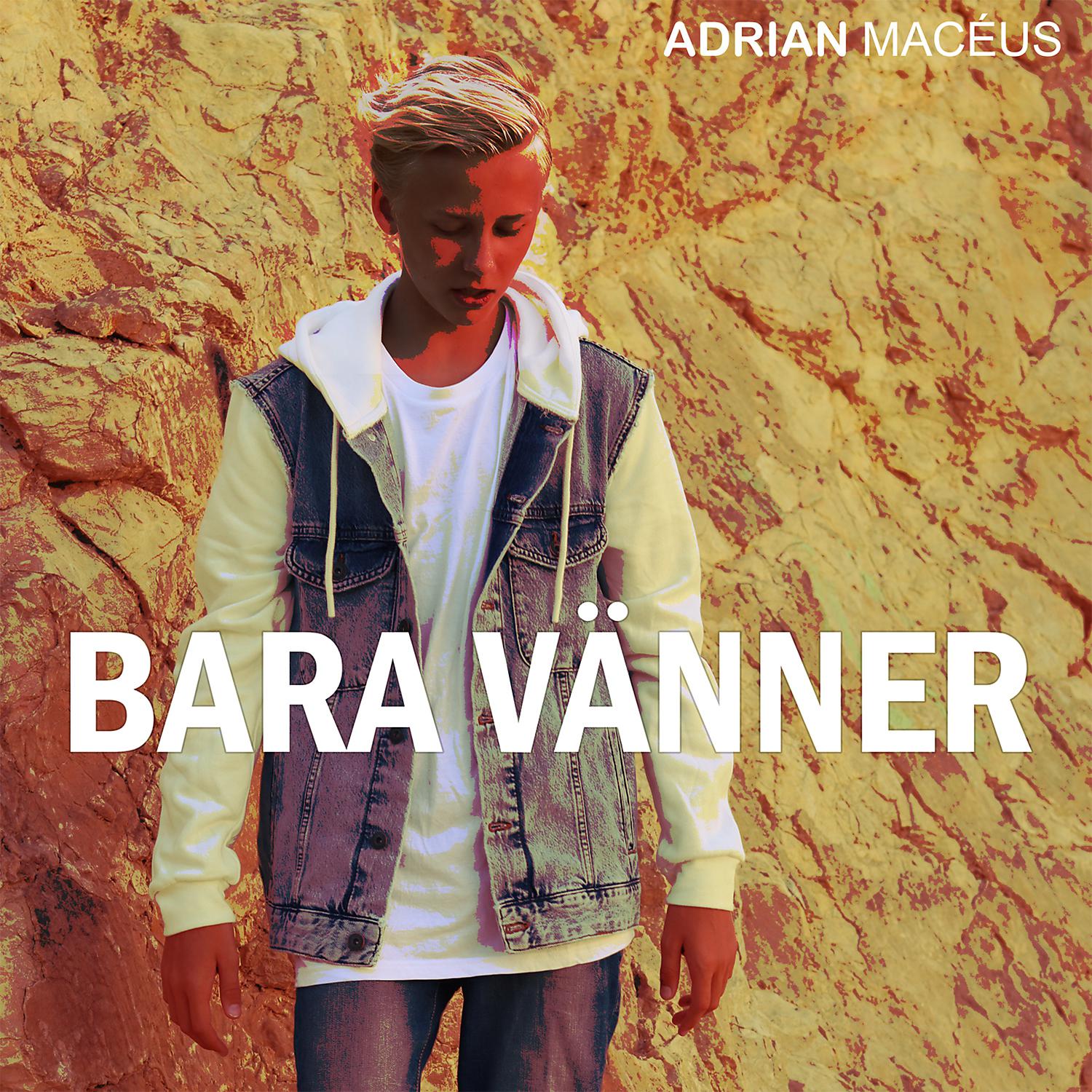 Постер альбома Bara Vänner
