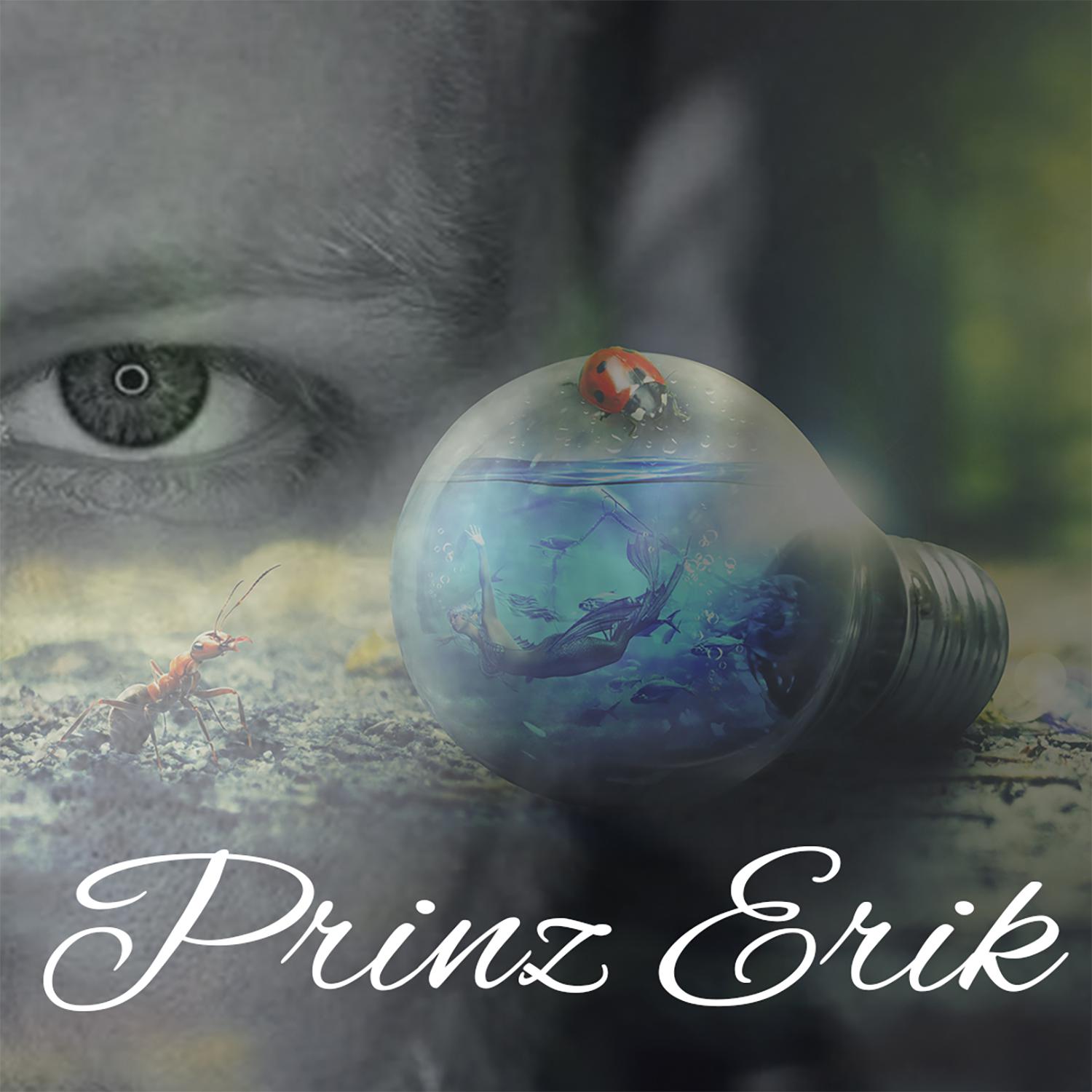Постер альбома Prinz Erik