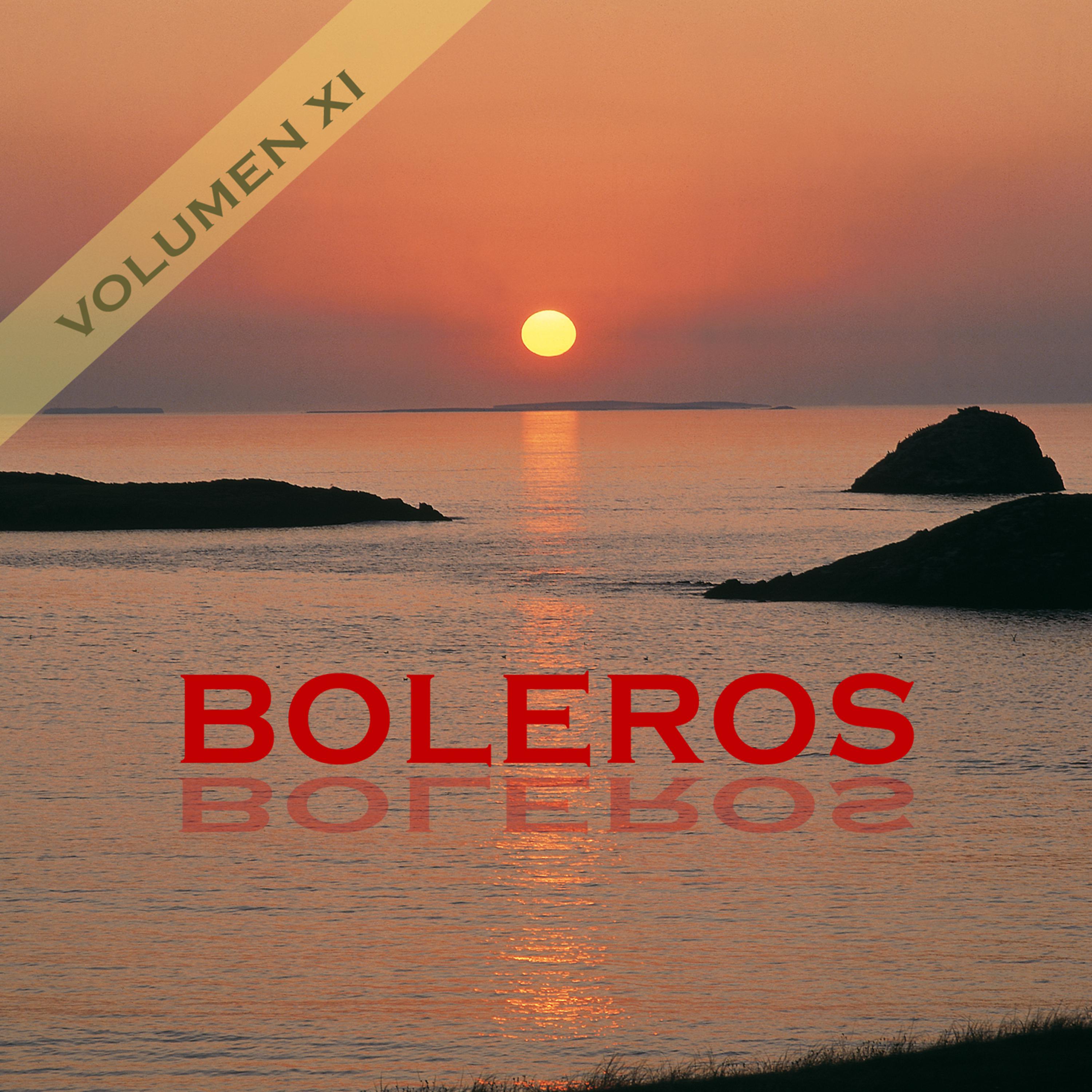 Постер альбома Boleros Vol. XI