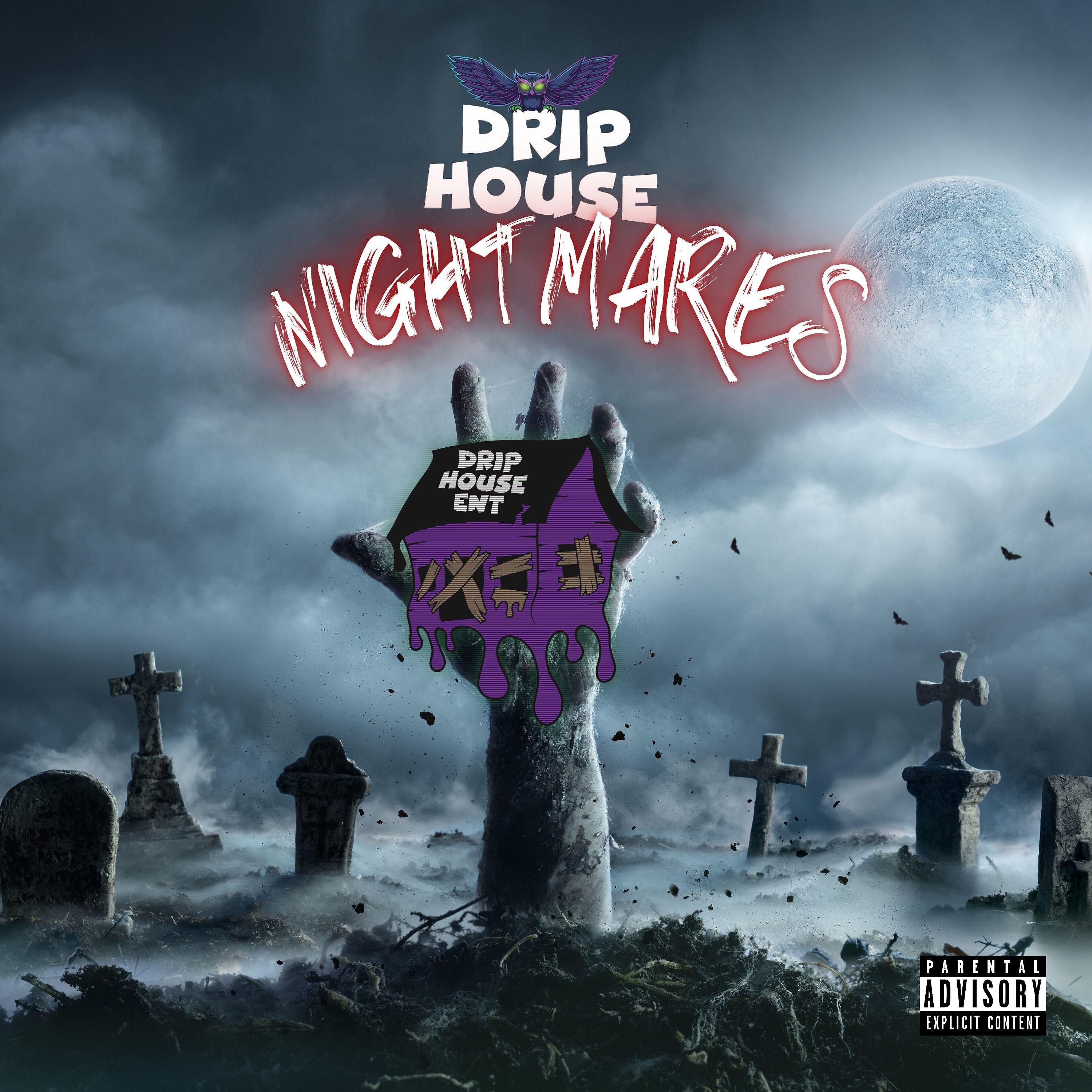 Постер альбома Drip House Nightmares