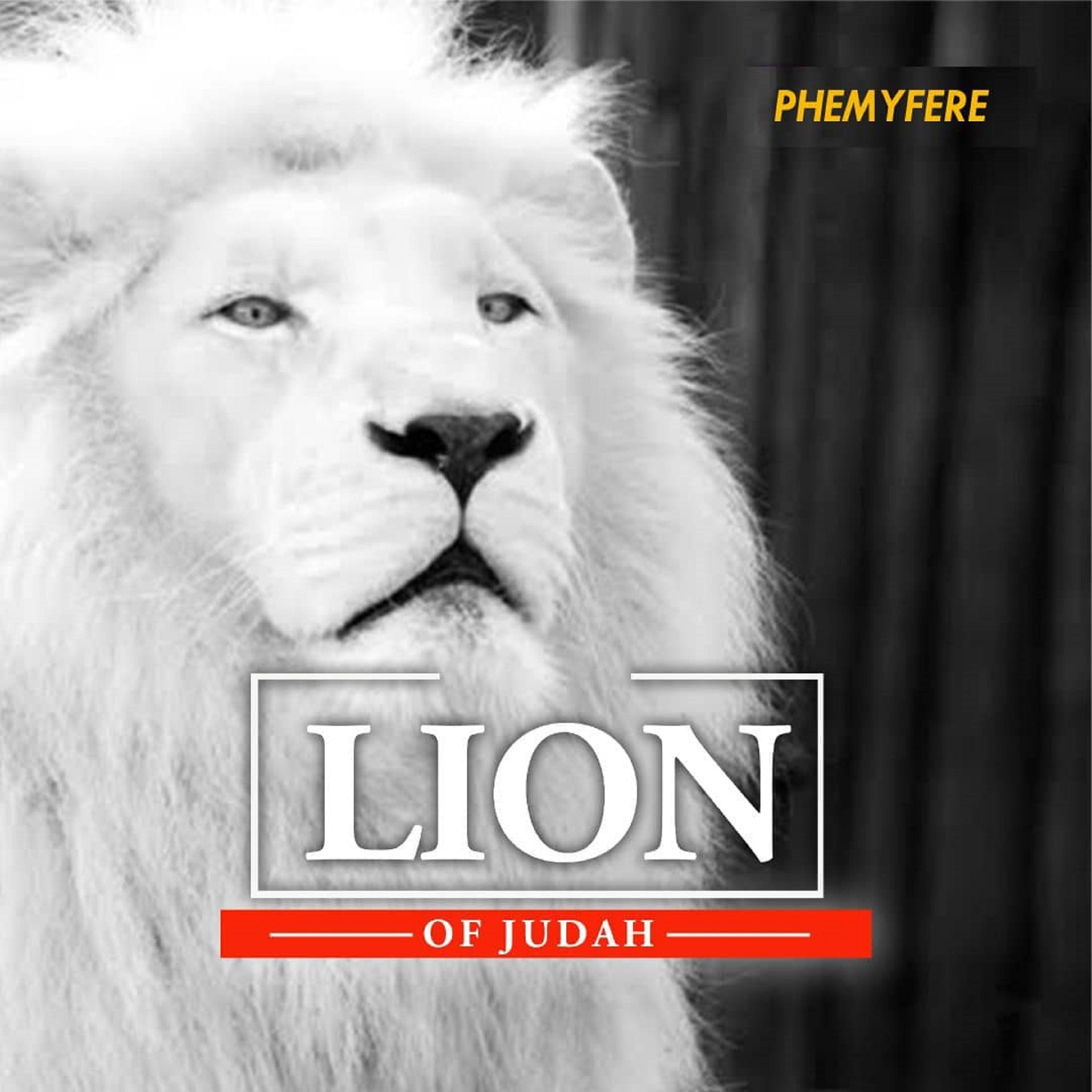 Постер альбома Lion of Judah