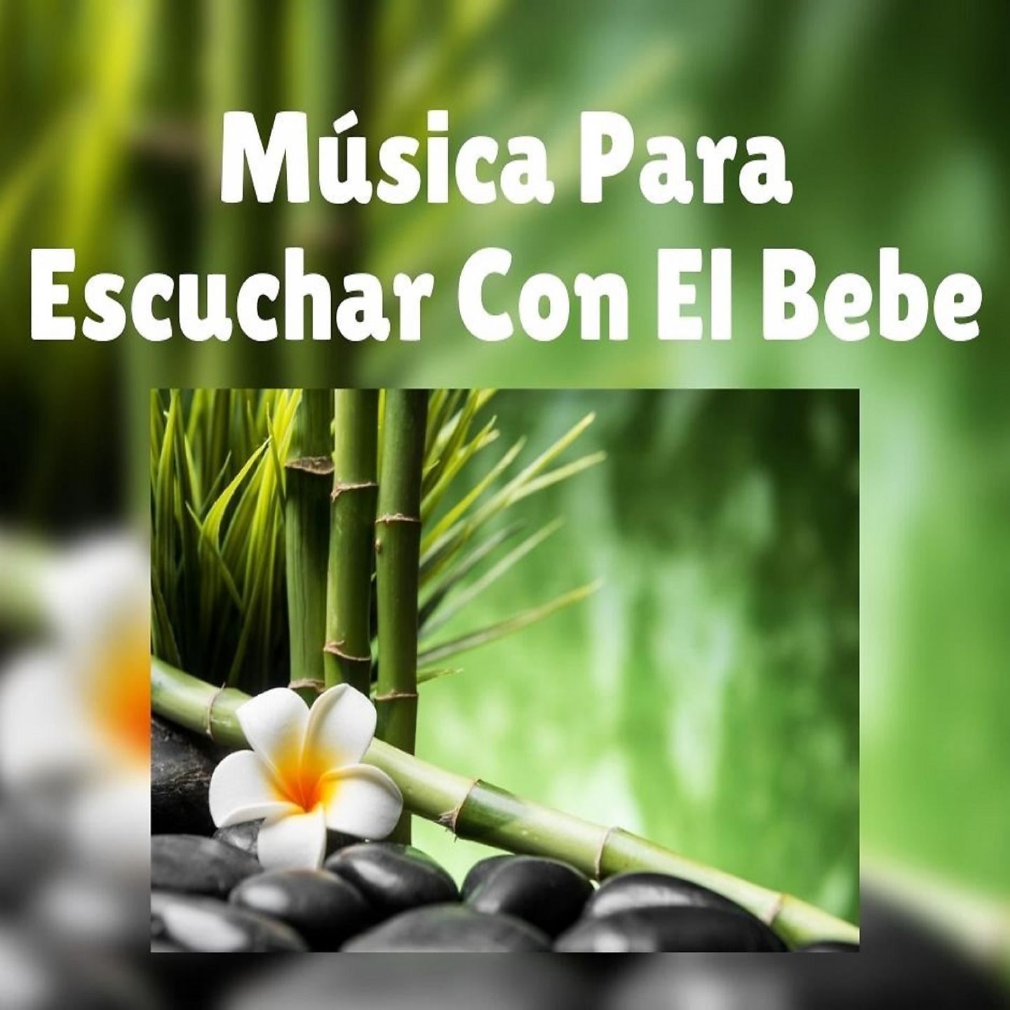 Постер альбома Música para Escuchar Con el Bebe