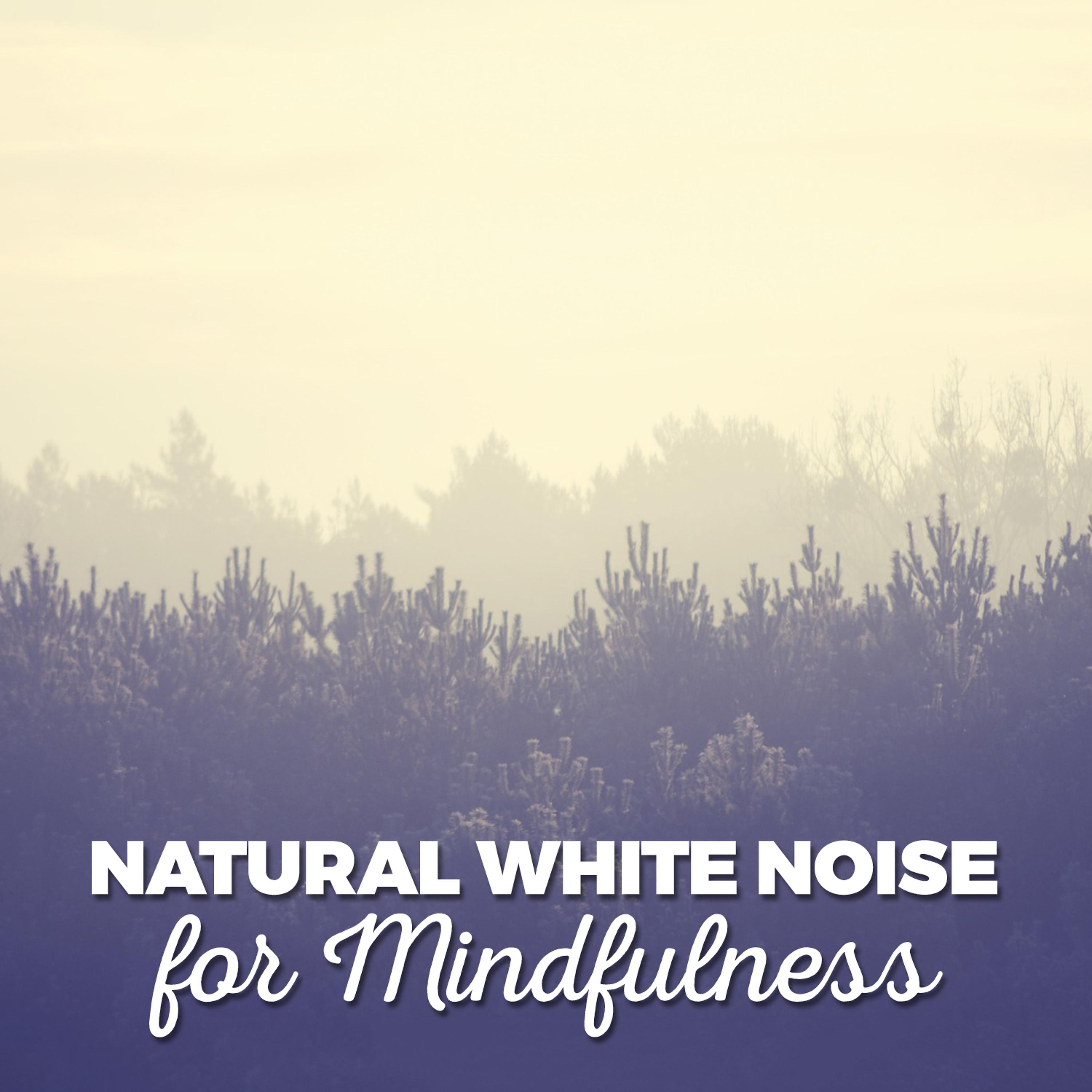 Постер альбома Natural White Noise for Mindfulness